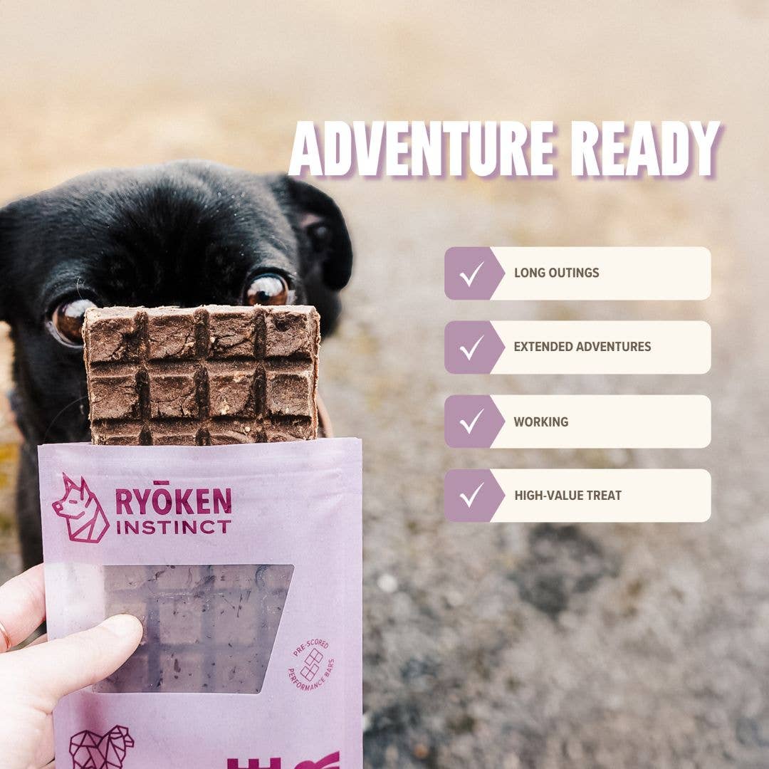 RYŌKEN INSTINCT - Lamb Treat & Snack Bar for Active Dogs - Energy & Recovery