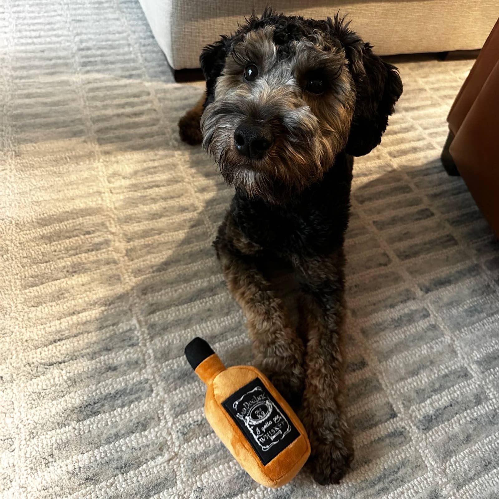 Huxley & Kent - Bad Dog Jack's Whiskey Dog Toy (Small)
