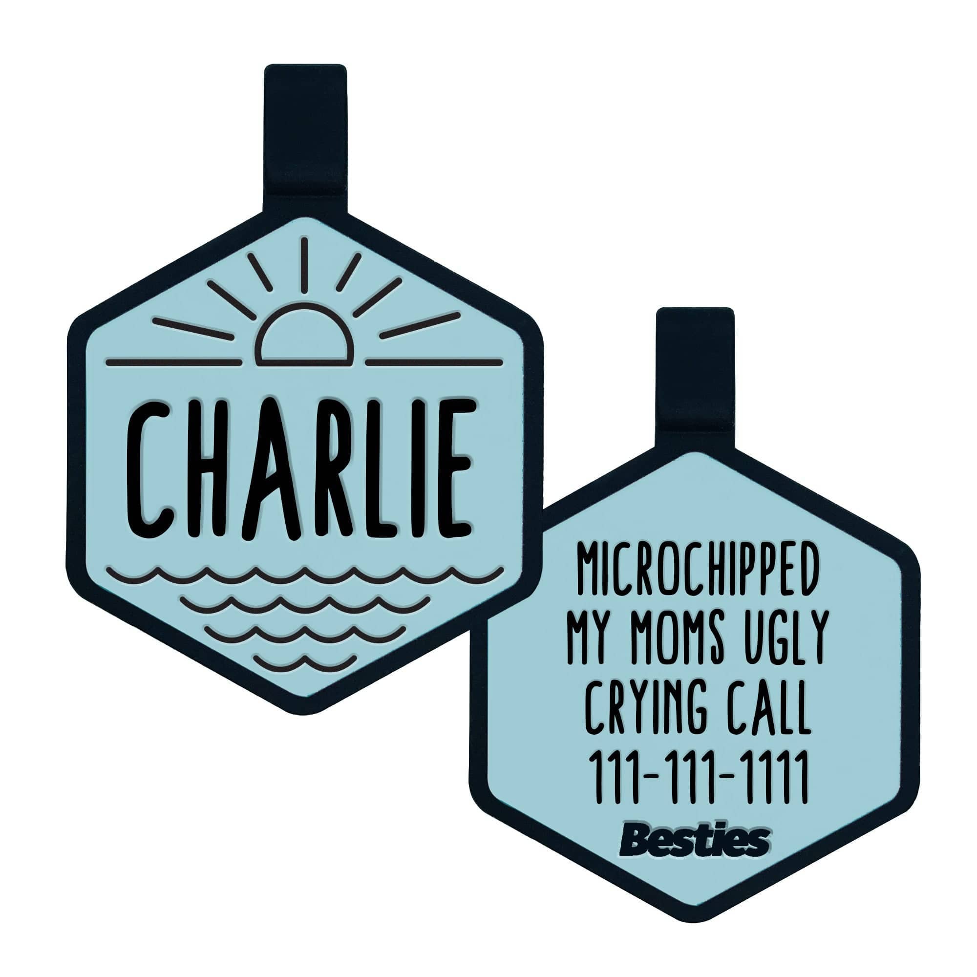 Besties Pets - Salt and Sun Silicone Dog ID Tag: Sage