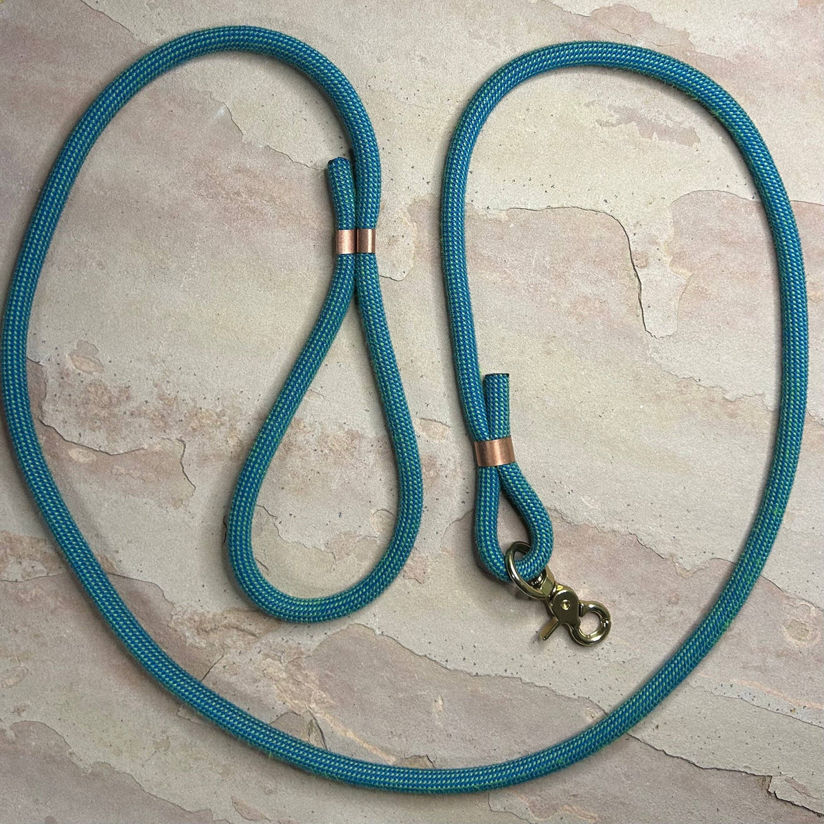 Joshua Tree Leash & Lead - Electric Blue