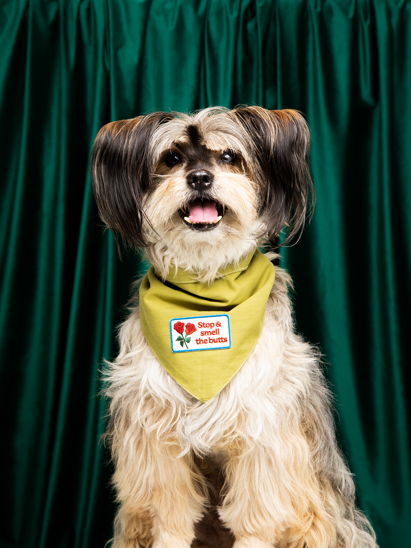 Scout's Honour Pty Ltd - Stop & Smell The Butts iron-on patch for dogs and cats