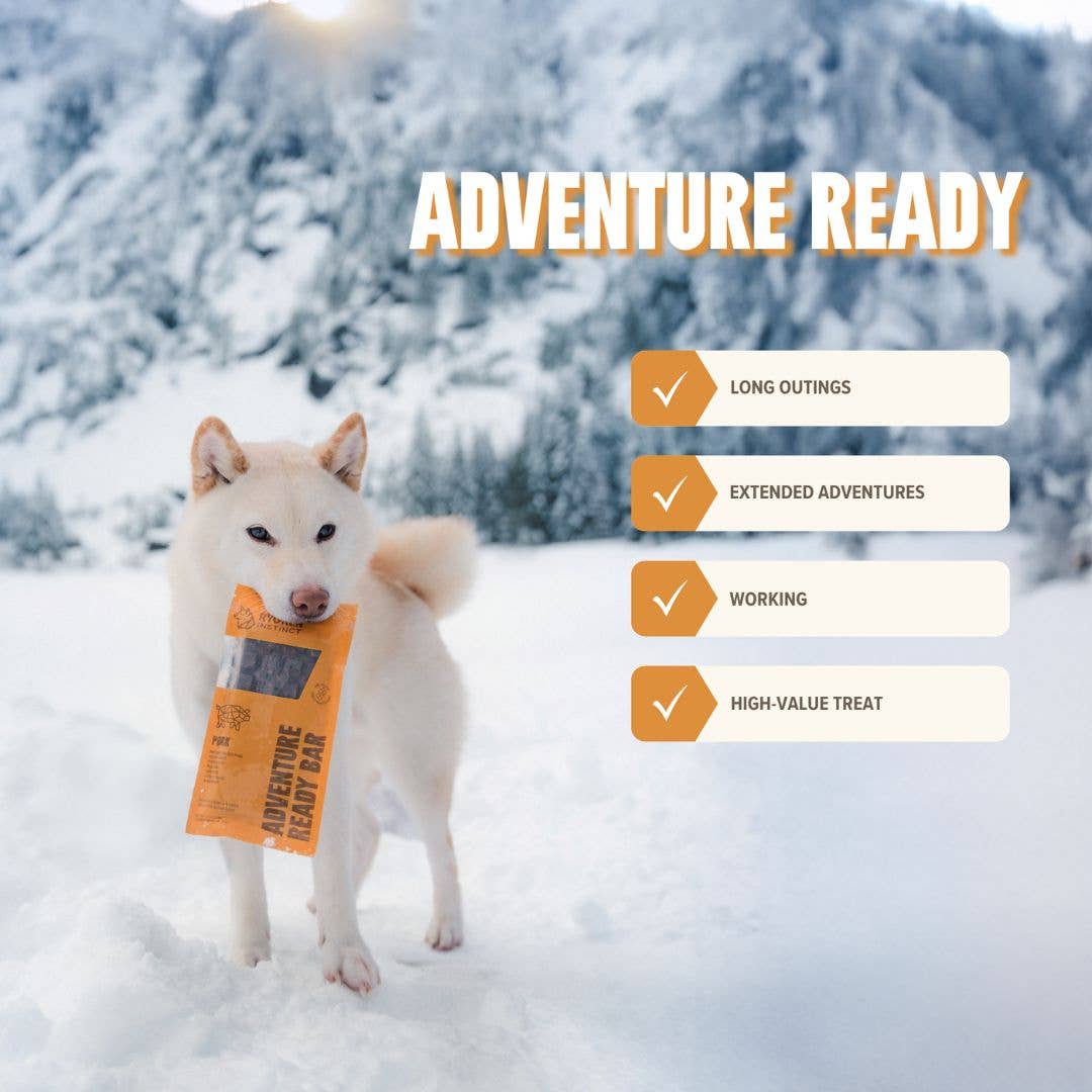 RYŌKEN INSTINCT - Pork Treat & Snack Bar for Active Dogs - Energy & Recovery