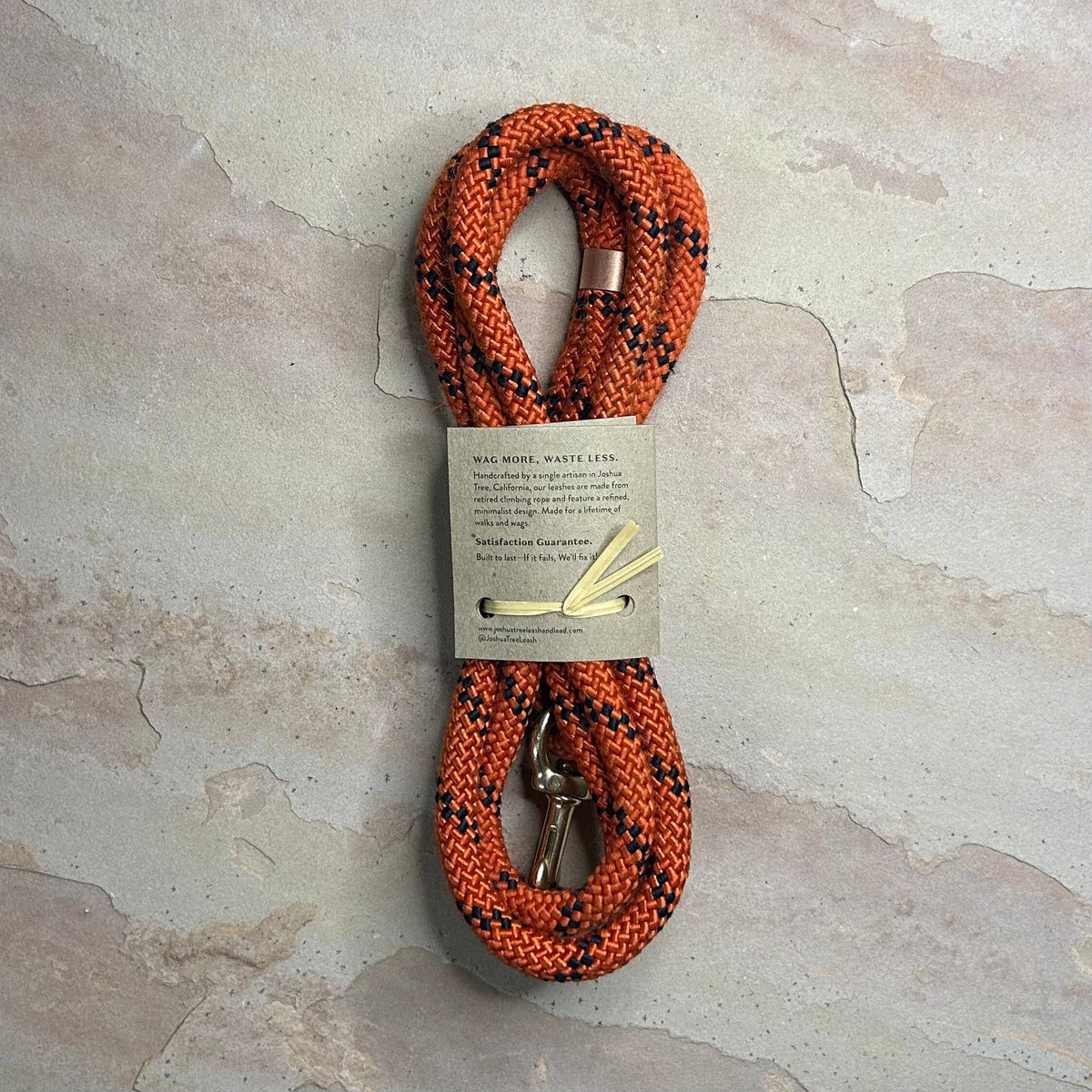 Joshua Tree Leash & Lead - Carving Pumpkins