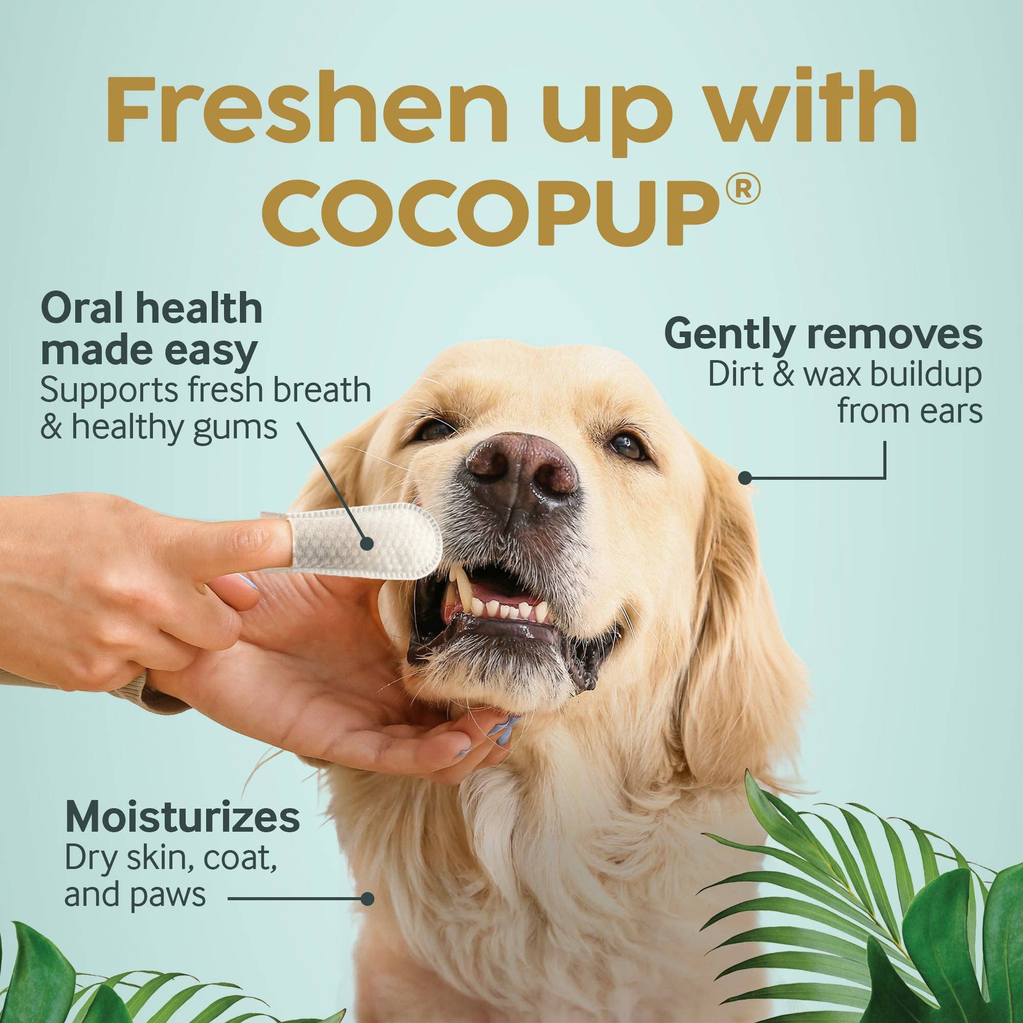 COCOPUP Wipes - COCOPUP® Wipes Wholesale 6 Packs