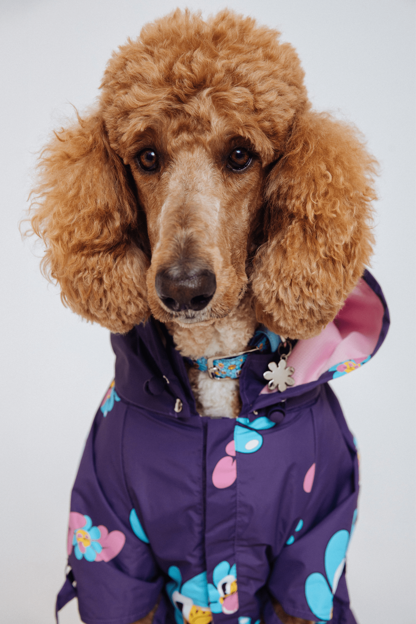 maxbone - Marc Jacobs x Hattie Stewart Raincoat: XXL