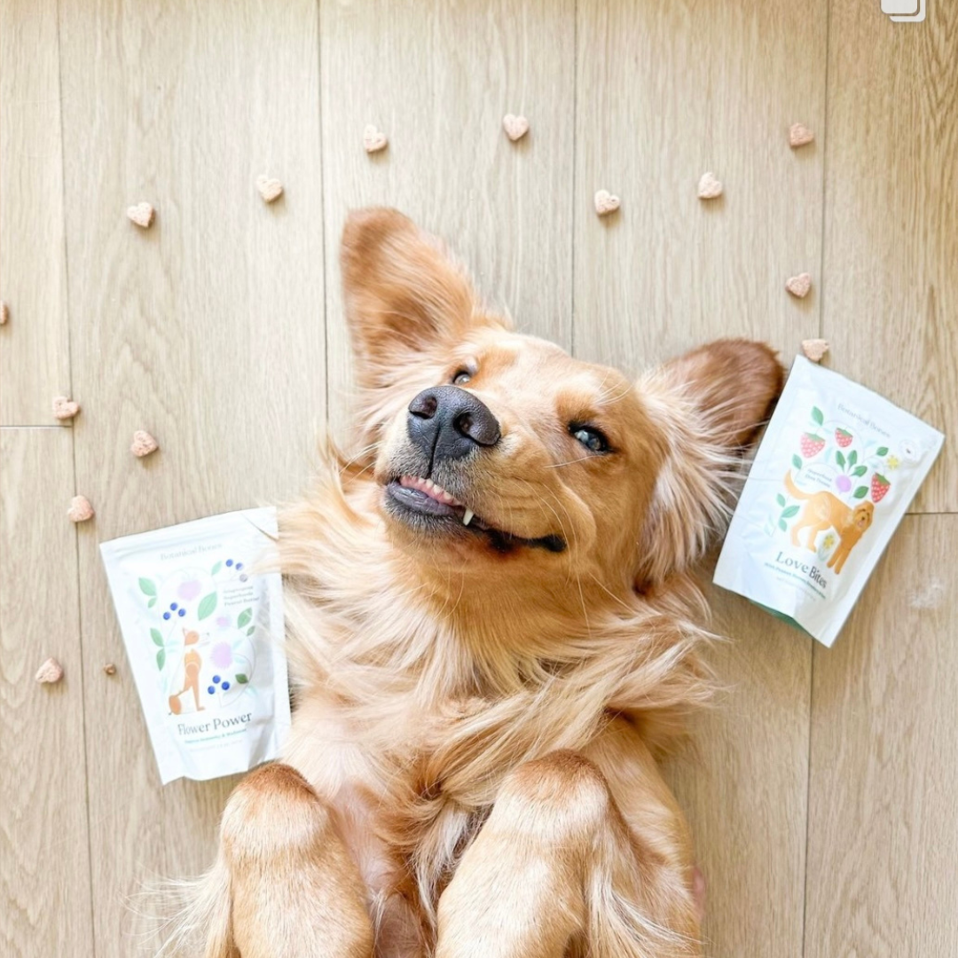 Botanical Bones- Love Bites, Strawberry & Peanut Butter (4oz)