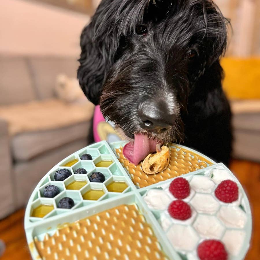 Bark Bistro - Seasonal Drop Sweetheart Snack (V-Day)  Buddy Budder