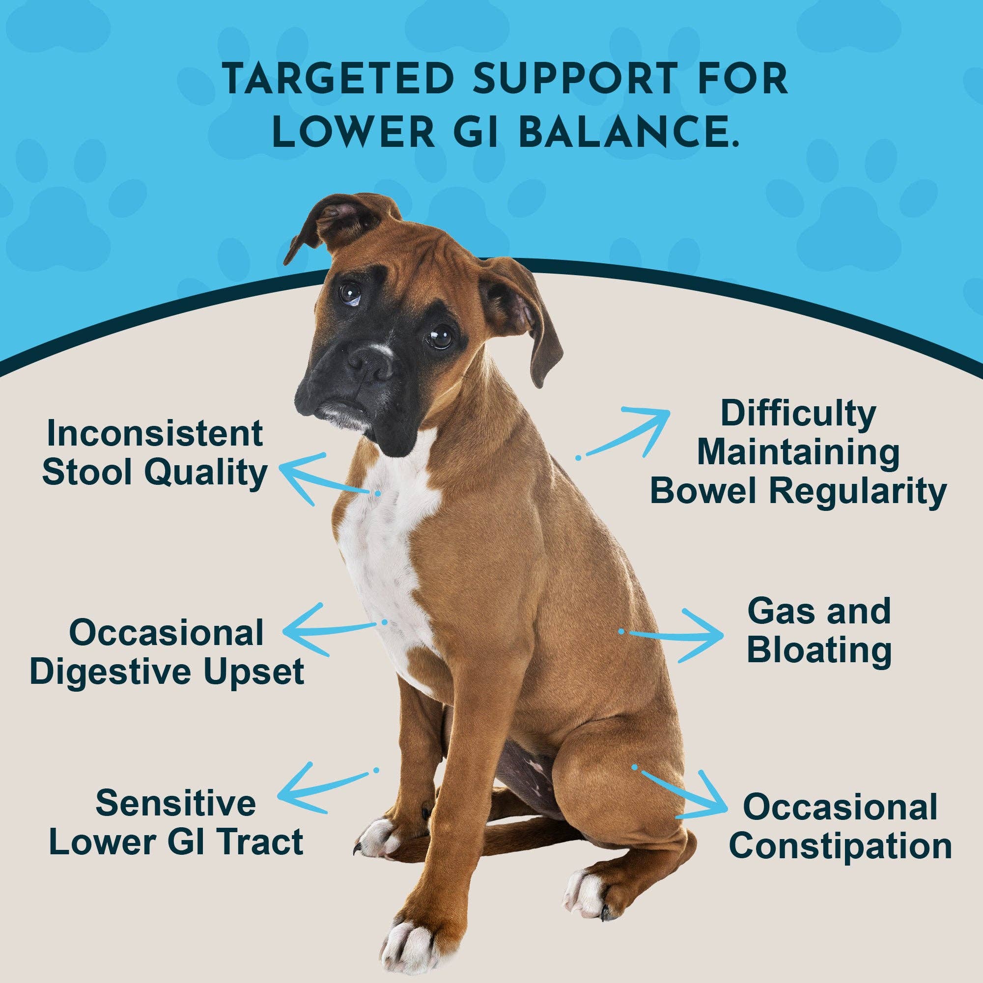 Animal Essentials - Colon Rescue Herbal Tonic | Supports Normal Bowel Function: 1oz