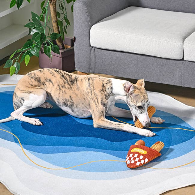 Hugsmart Products Inc - HugSmart Pet - Food Party | Churros - Interactive Toy