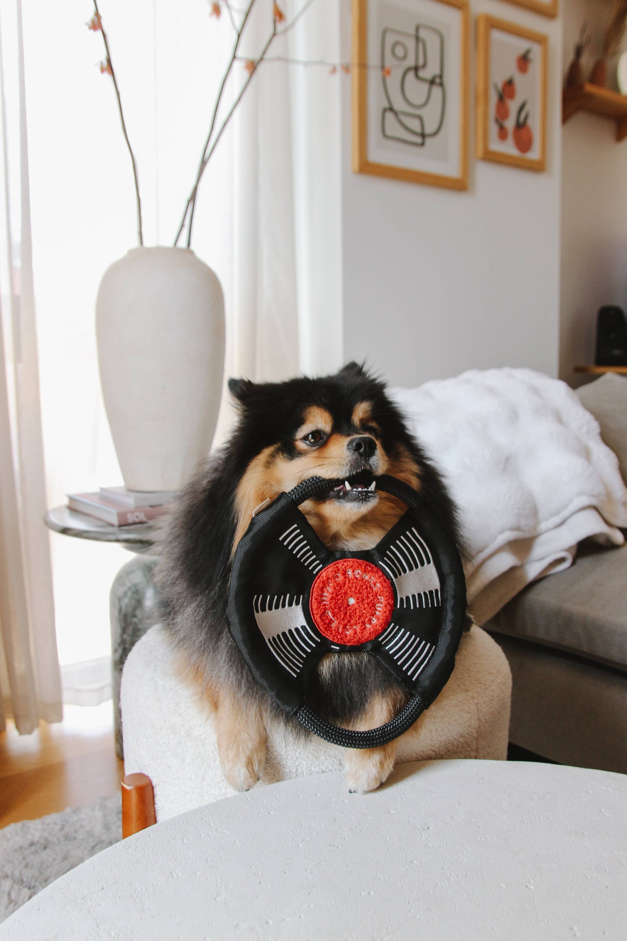 Lambwolf Collective - BARK TO BEAT //ENRICHMENT DOG TOY