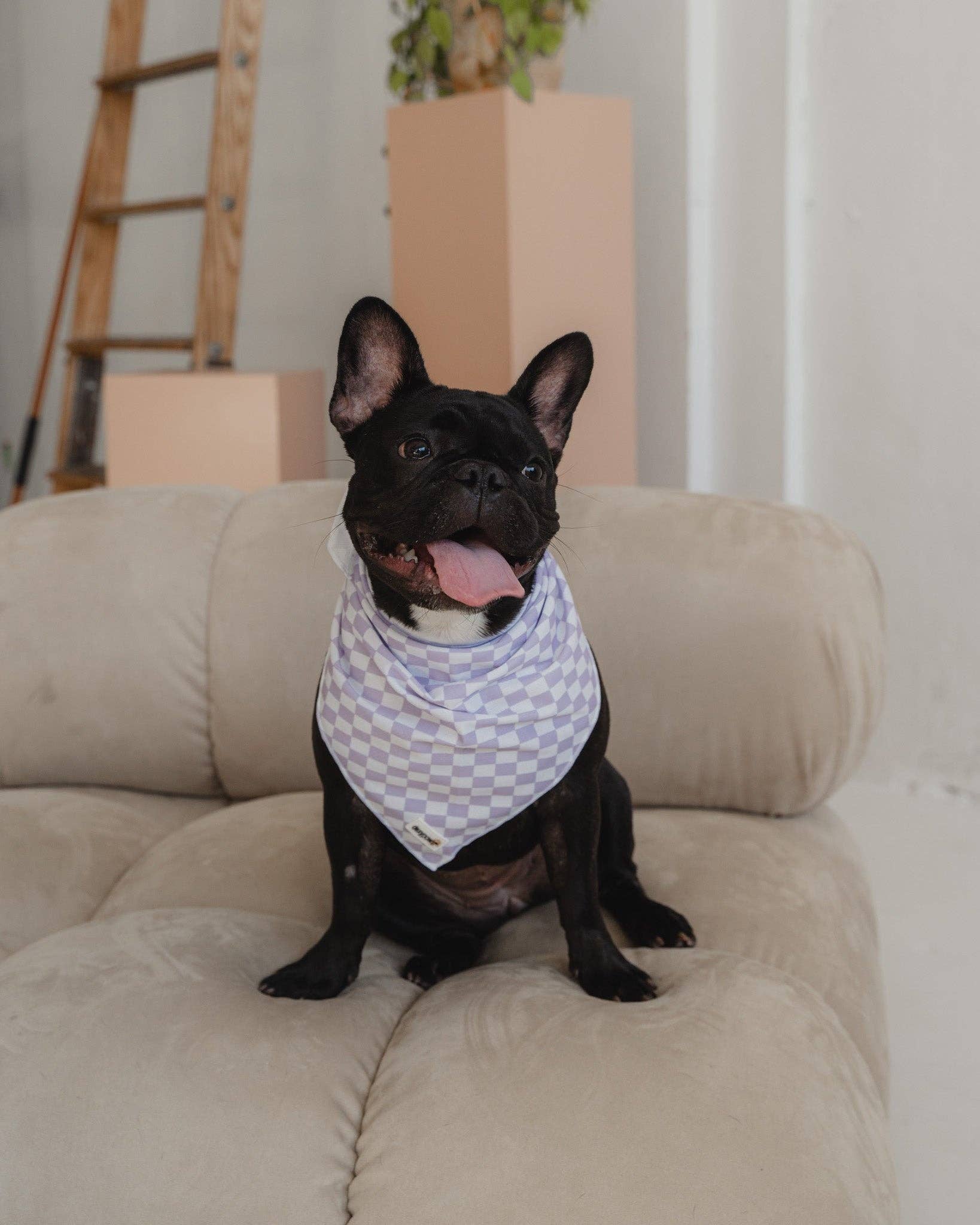 dexypaws - Cooling Bandana in Lilac Checkers: M/L