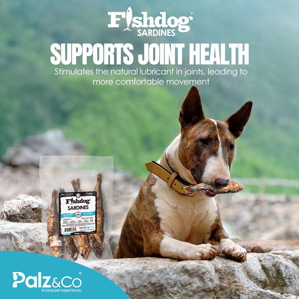 Palz&Co | Fishdog Sardines (2.5oz)