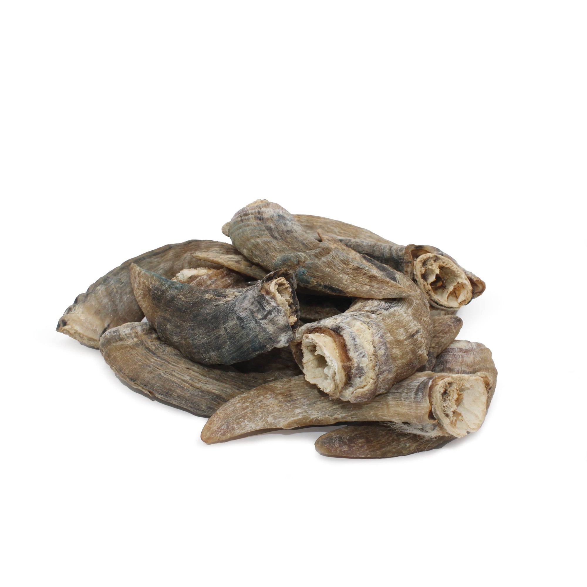 Icelandic+ - Icelandic+ Small Lamb Horn with Marrow Dog Treat: 1-ct (Single)