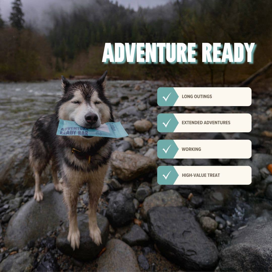 RYŌKEN INSTINCT - Seafood Treat & Snack Bar for Active Dogs -Energy & Recovery