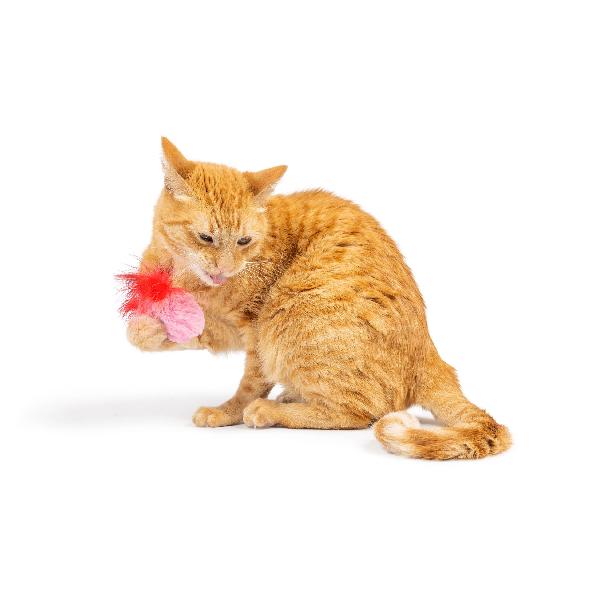 Huxley & Kent - Love Bugs 2pk Cat Toy: One Size