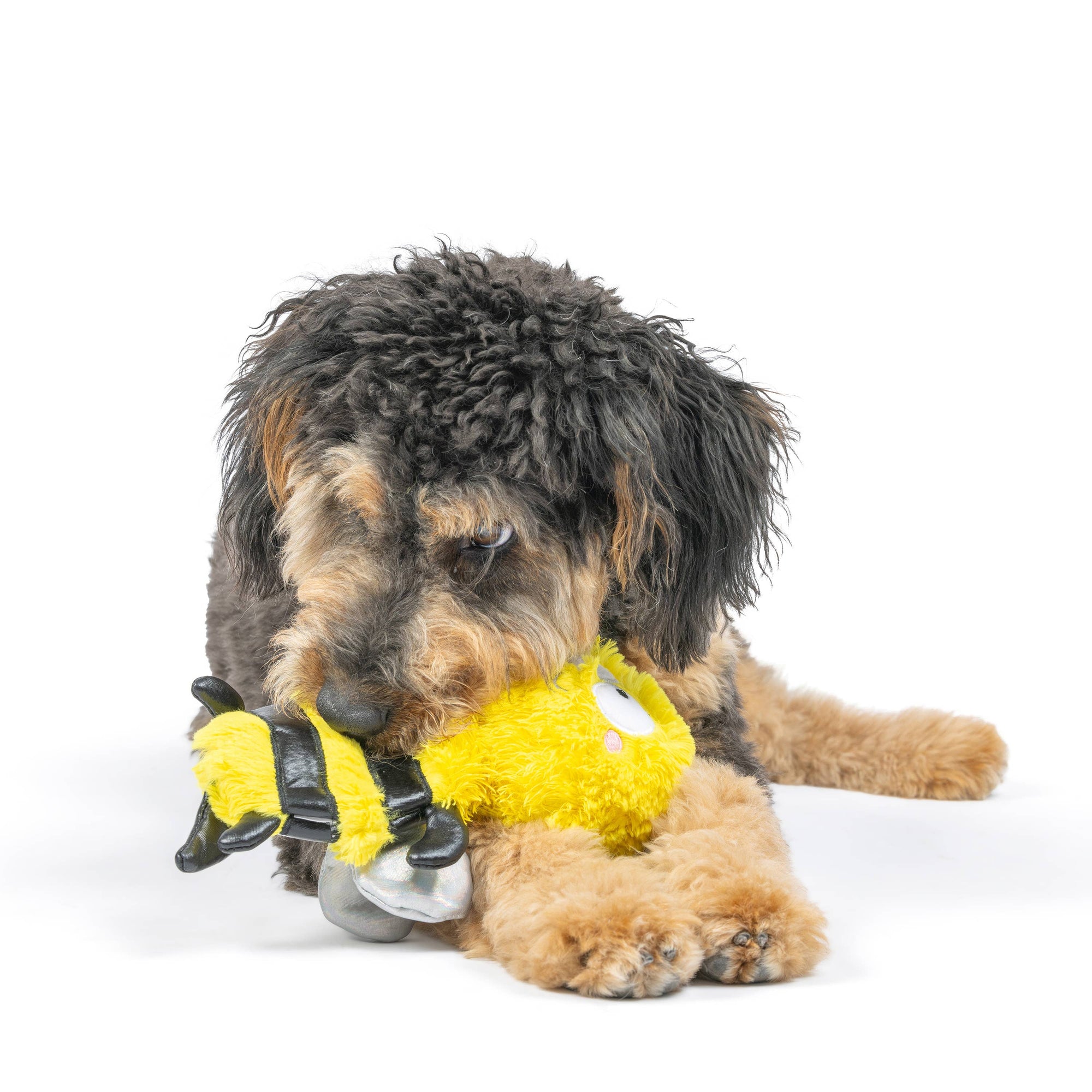 Huxley & Kent - Slappies® Buzz Bee Dog Toy