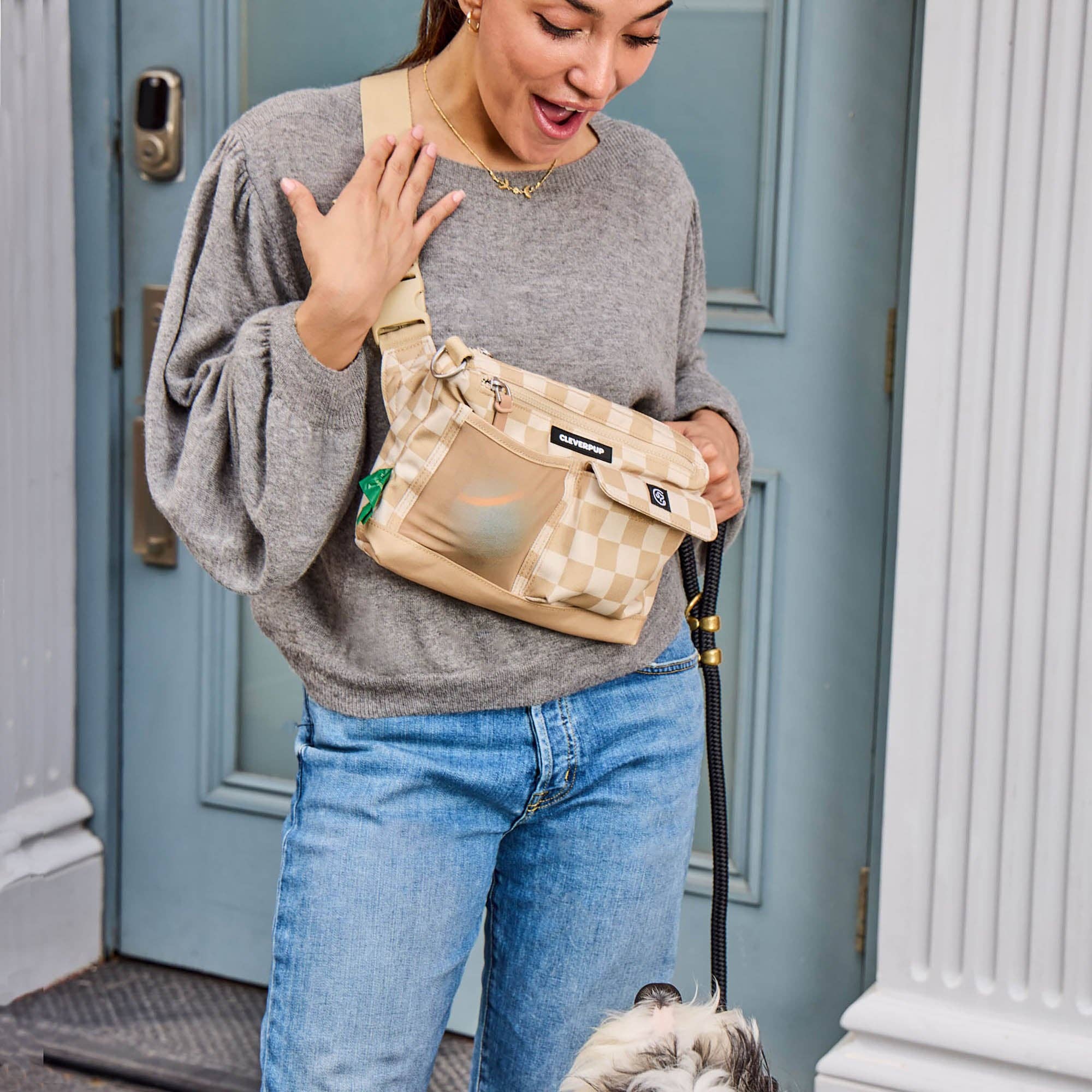 Cleverpup - Dog Walk & Train Sling Bag