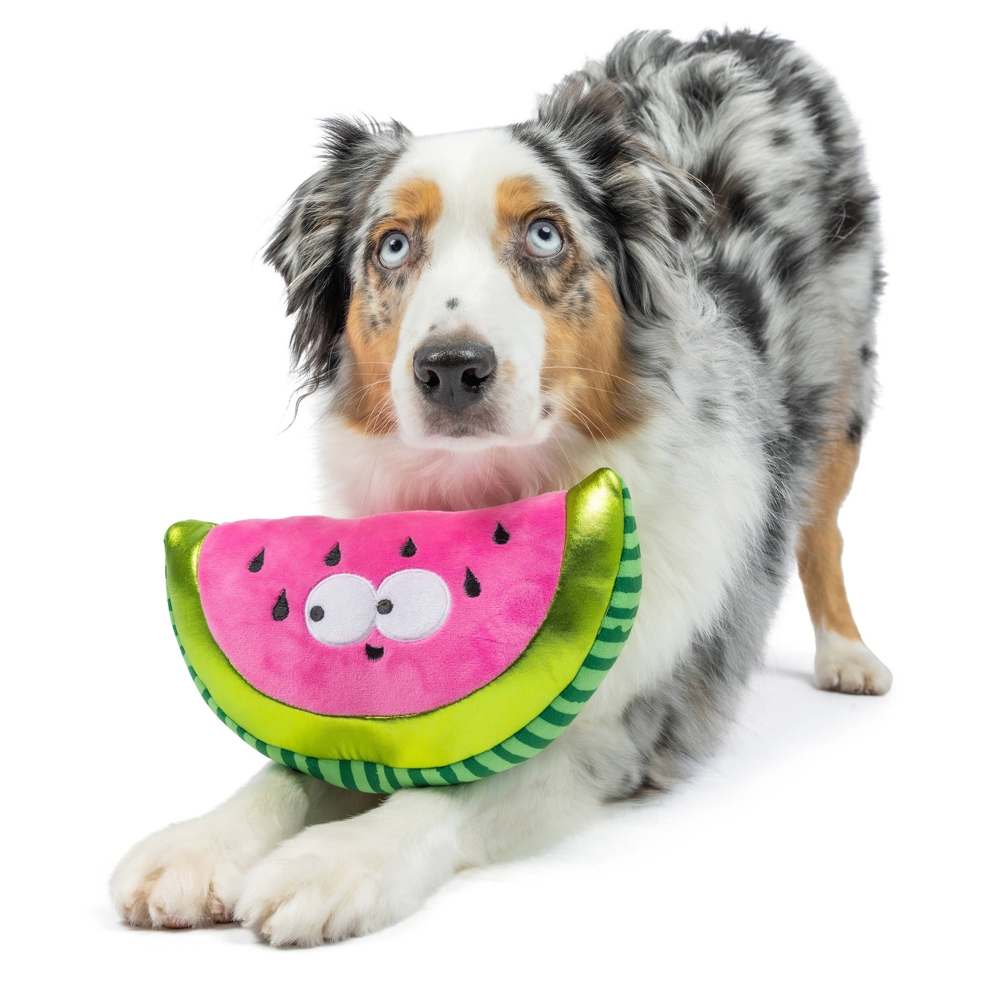 Huxley & Kent - Fetchies® Walter Melon Dog Toy: Large