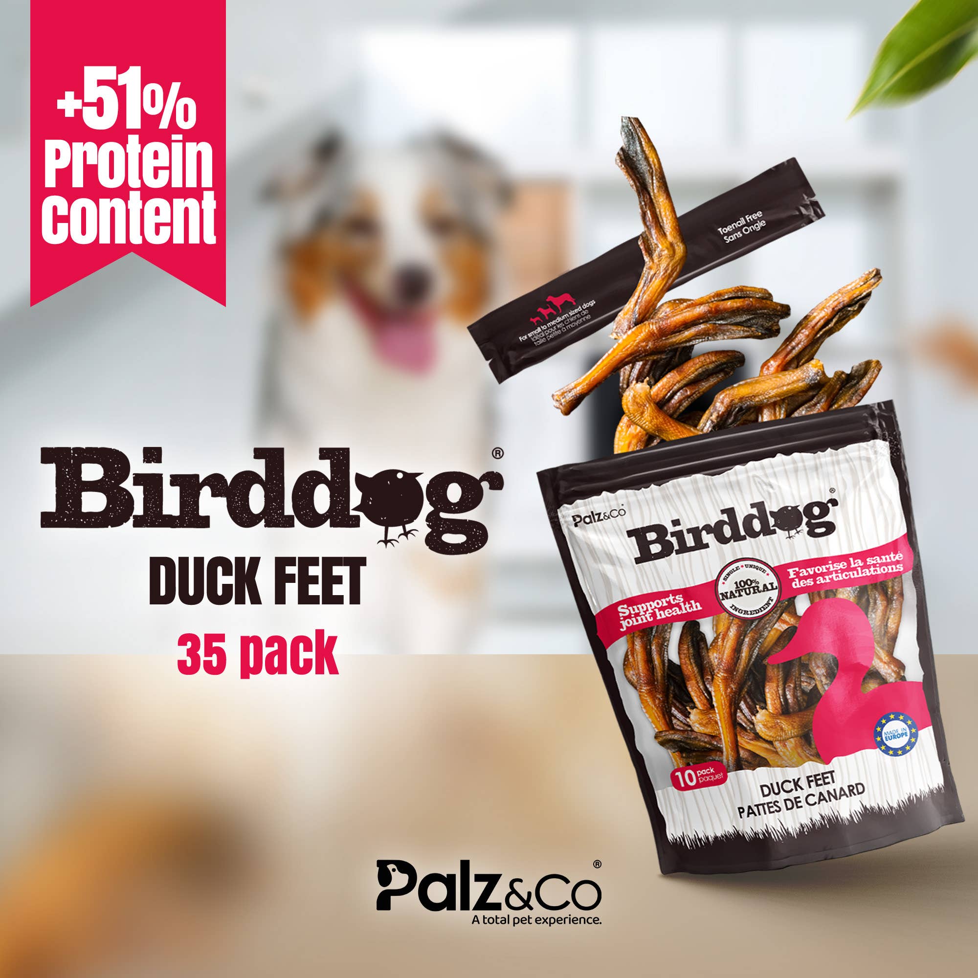 Palz&Co - Birddog Duck Feet (35 Pack)
