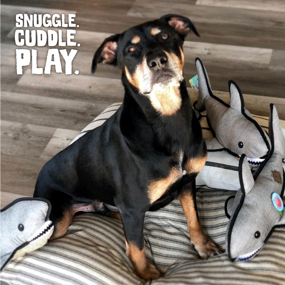 Pet Palette Distribution - SnugArooz Saul the Shark w/ Rubber Spikey Ball Dog Toy 19"