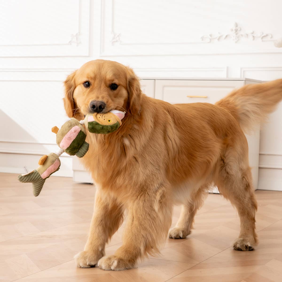 Tall Tails - Trout Jointed Shake Play Dog Toy