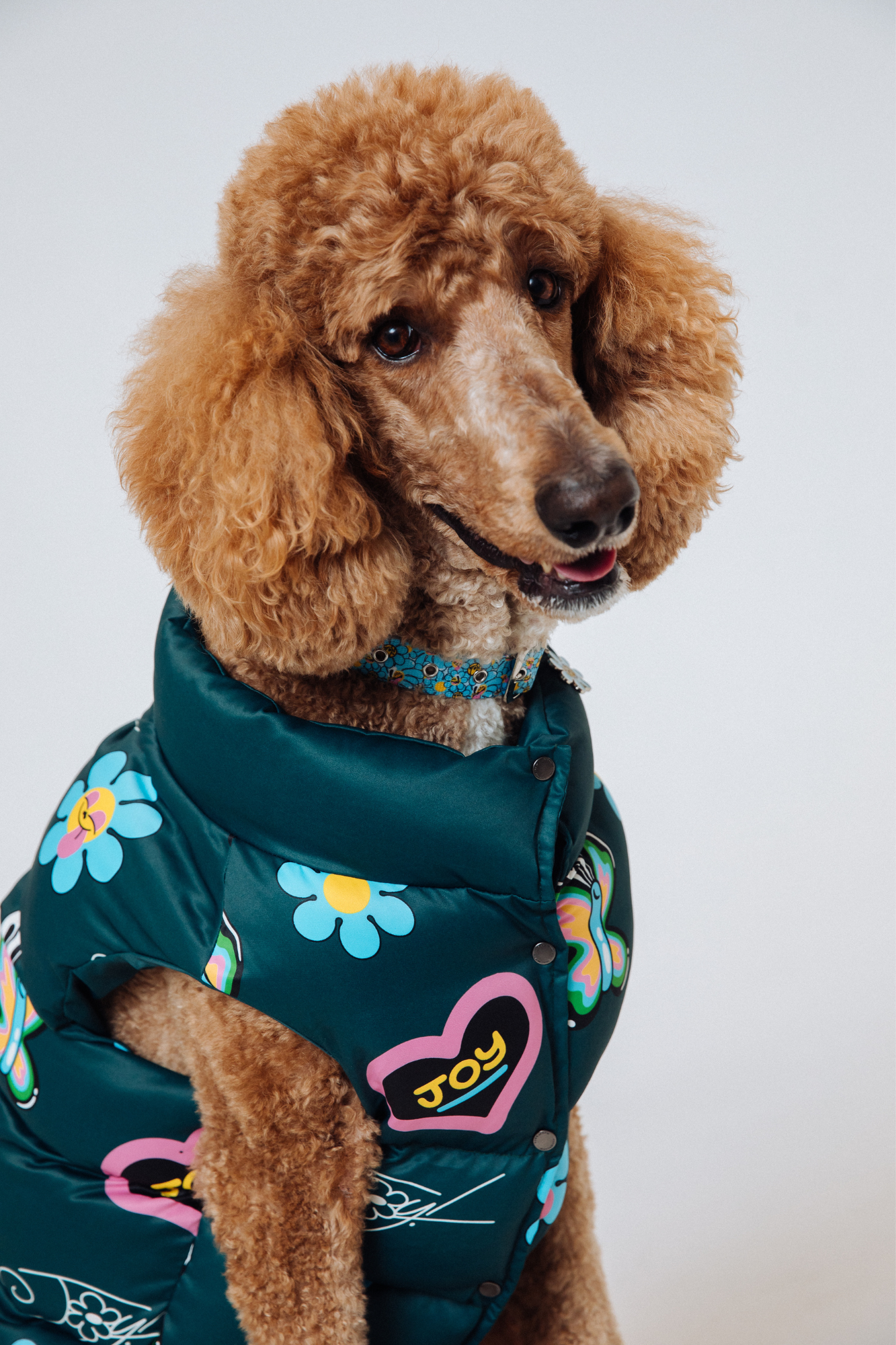 maxbone - Hattie Stewart x Marc Jacobs x maxbone Green Puffer Dog Vest: XL