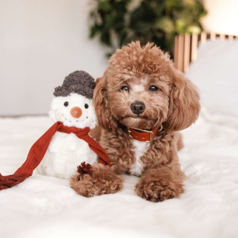 Lambwolf Collective - SNOWMAN//ENRICHMENT DOG TOY // HOLIDAY