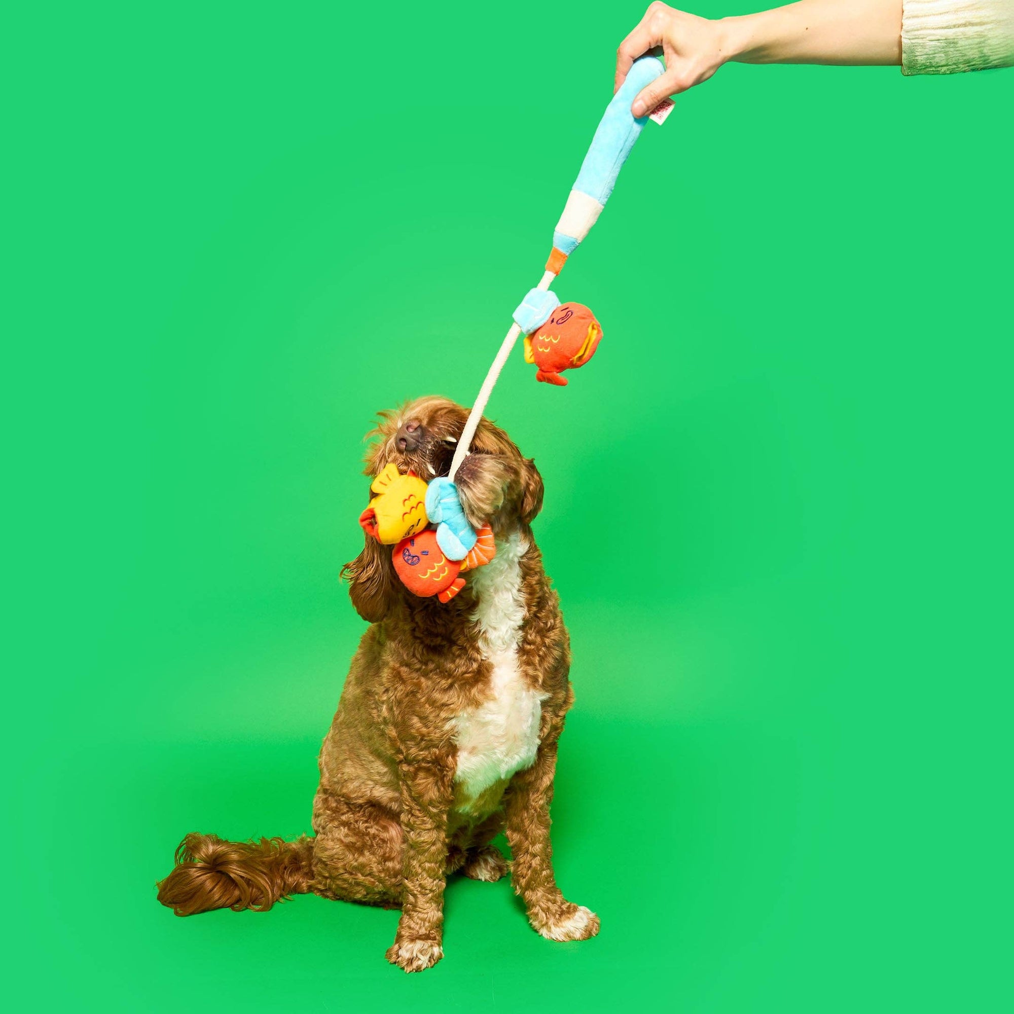 the furryfolks - Fishing Nosework & Tug Toy