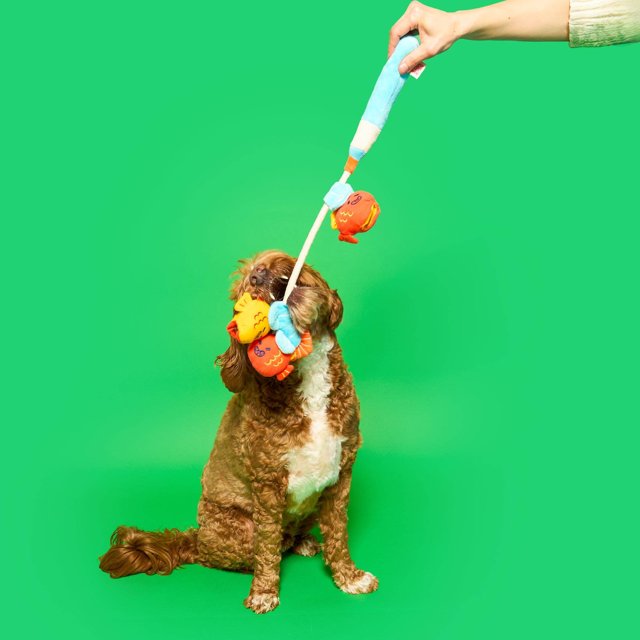 the furryfolks - Fishing Nosework & Tug Toy