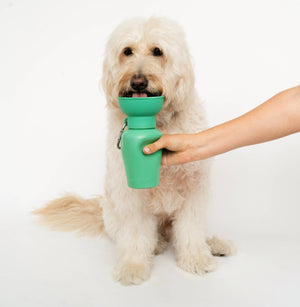 Springer - Dog Travel Water Bottle | Flip 20 oz | MIXED (Case of 12)