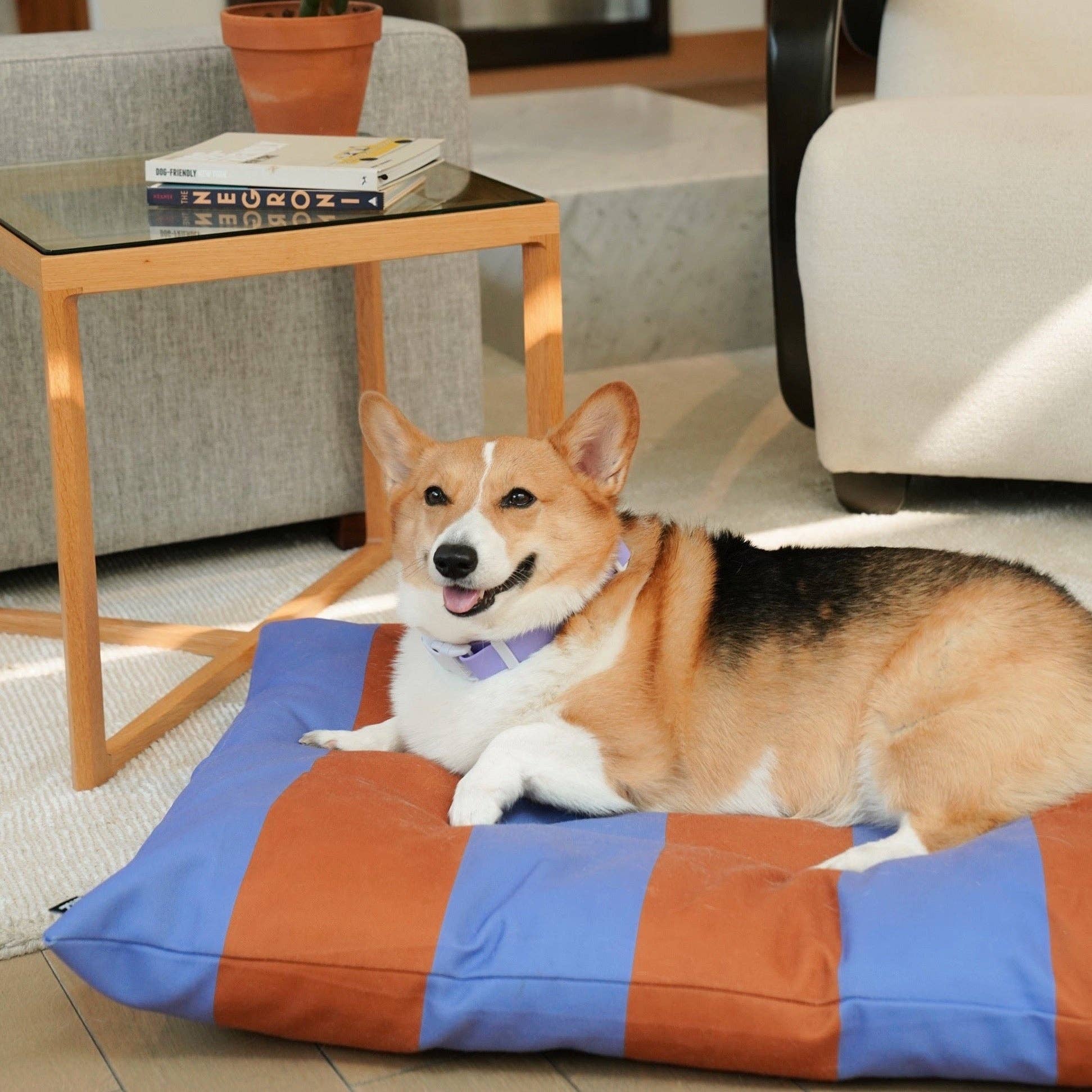 Approved by Fritz - USA - The Fritz Dog Bed | Recycled | Machine Washable: Checkered / Grande