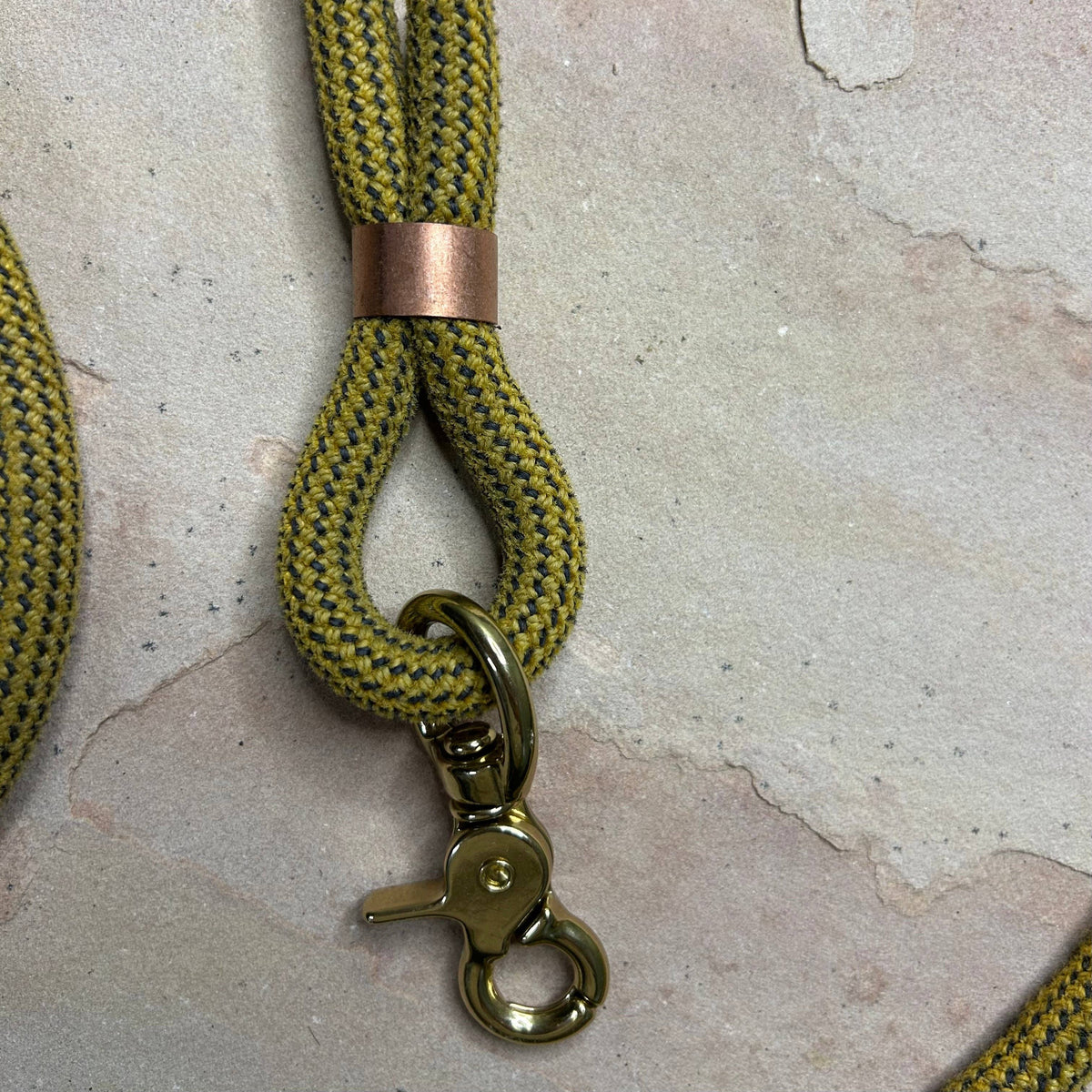 Joshua Tree Leash & Lead - Fool’s Gold