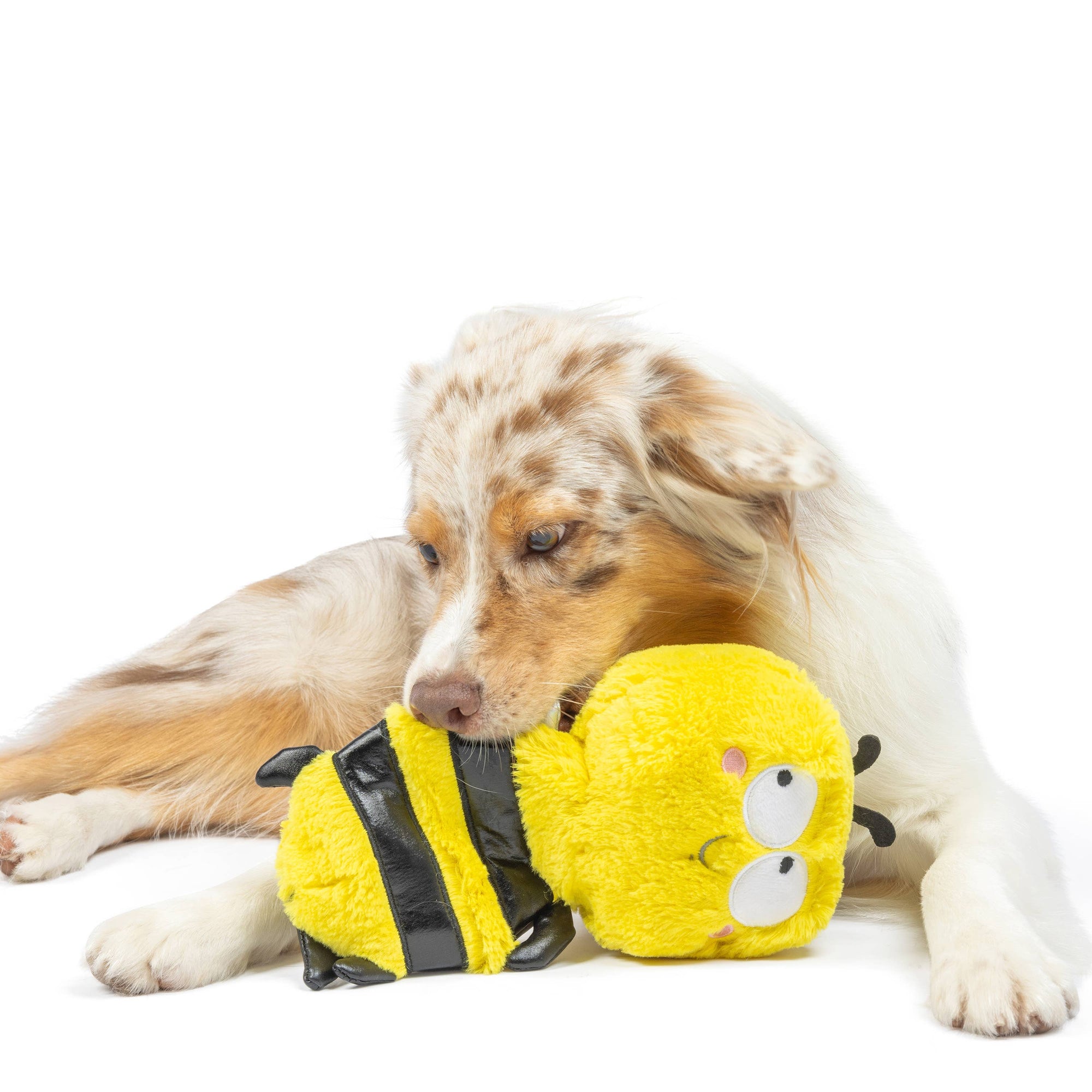 Huxley & Kent - Slappies® Buzz Bee Dog Toy