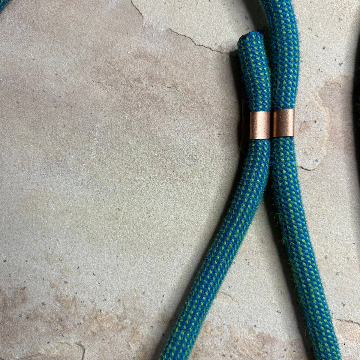 Joshua Tree Leash & Lead - Electric Blue