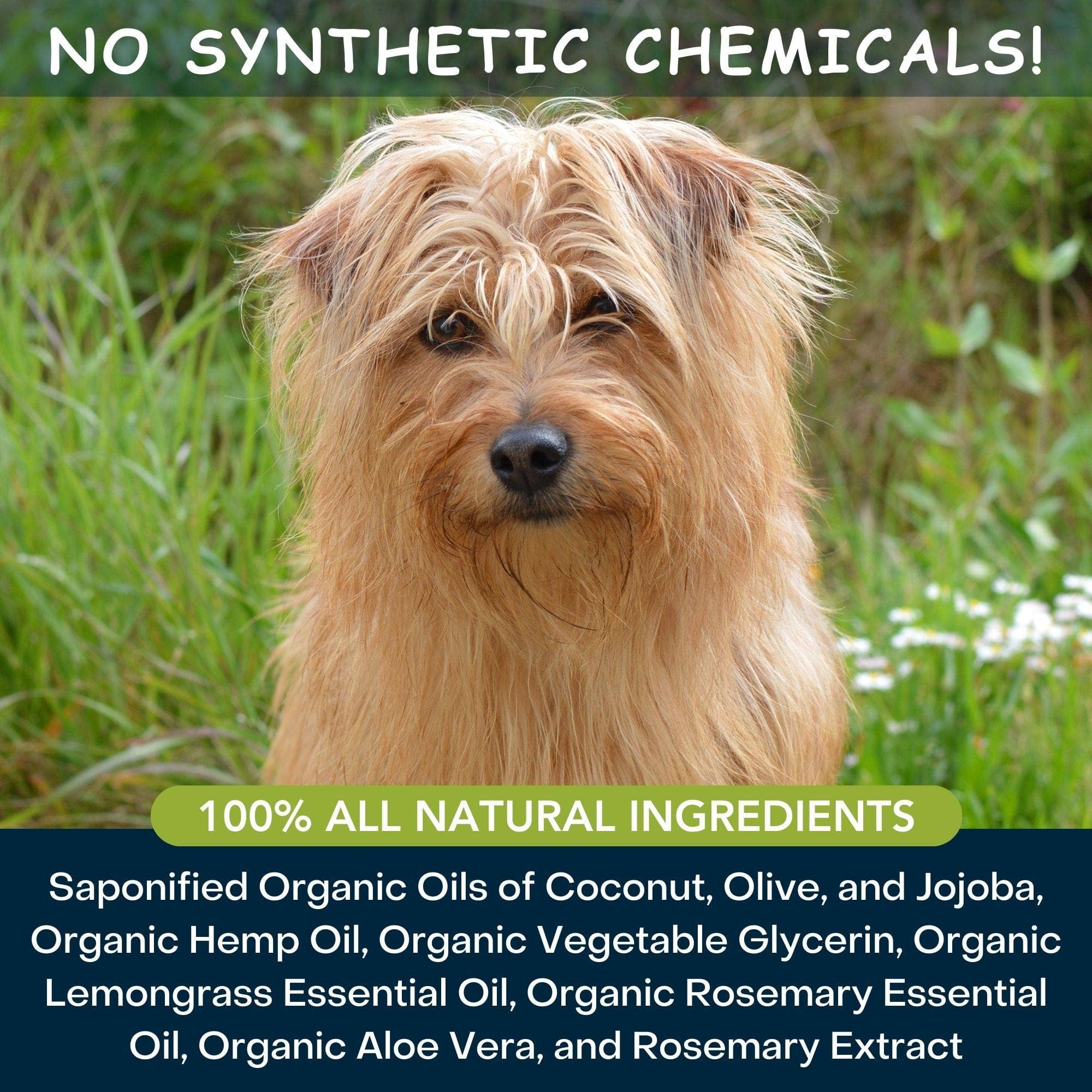 4-Legger - MOISTURIZE Organic Hemp Dog Shampoo with Lemongrass: (16 oz)