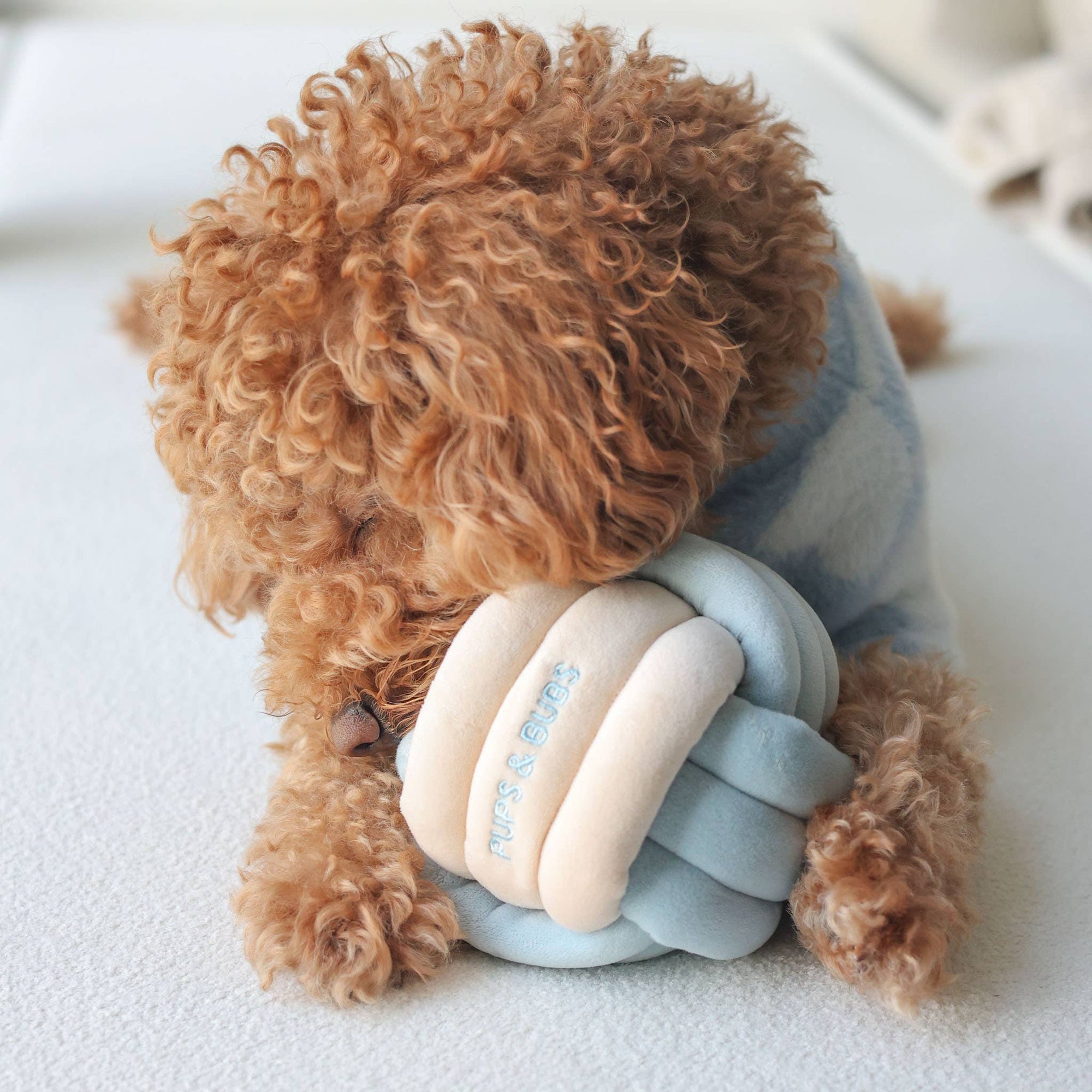 Pups & Bubs- Snuffle Knot Nosework Toy