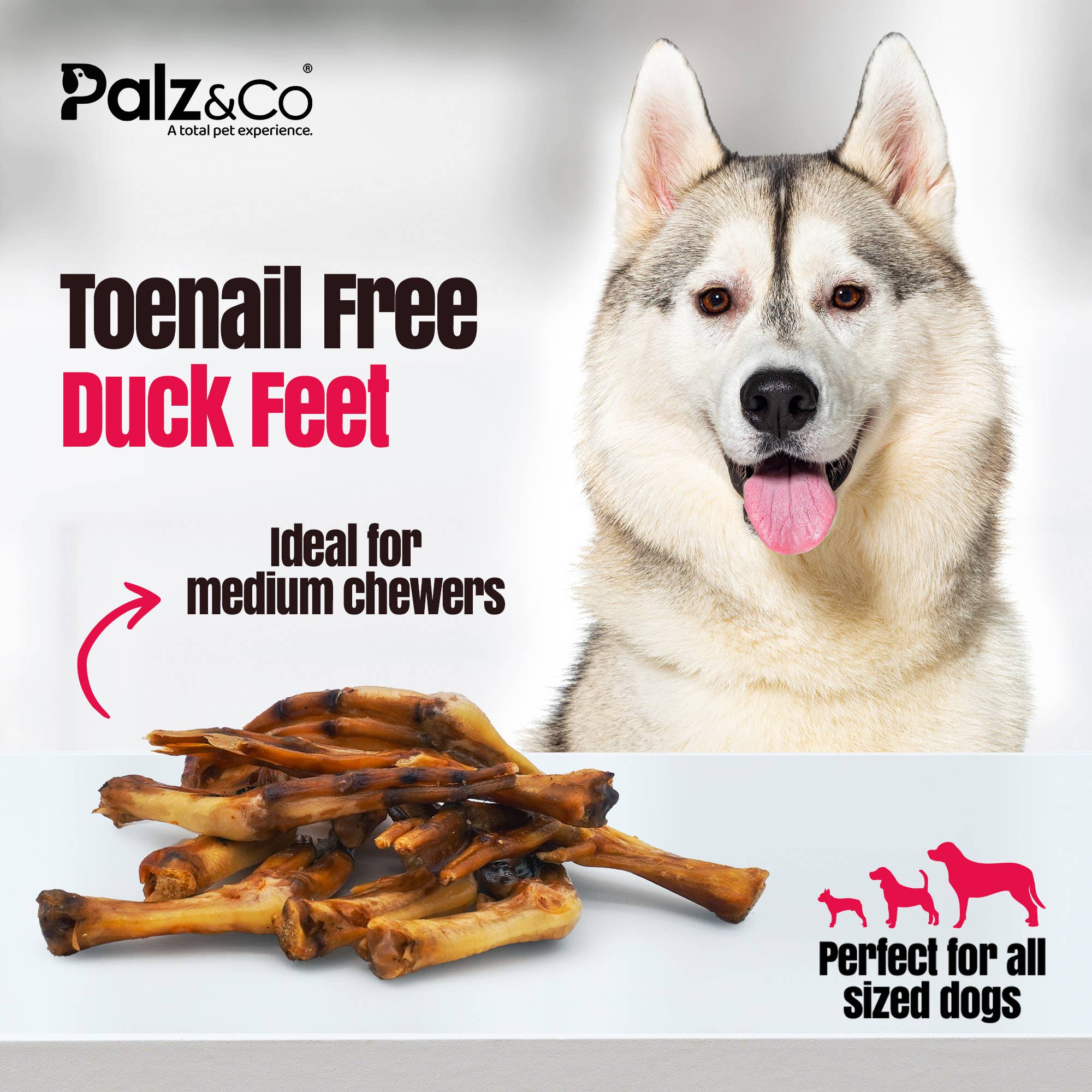 Palz&Co - Birddog Duck Feet (35 Pack)