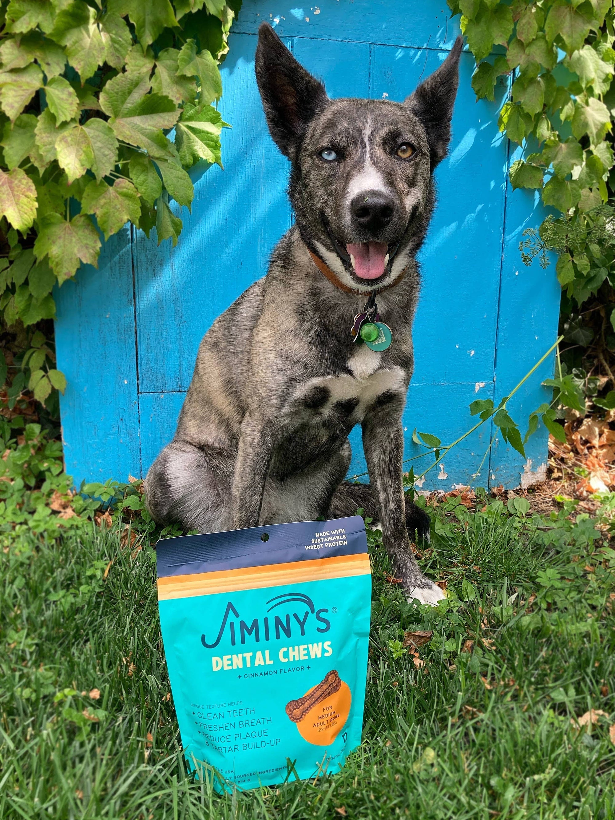 Jiminy's - Dental Chews: Extra-Small