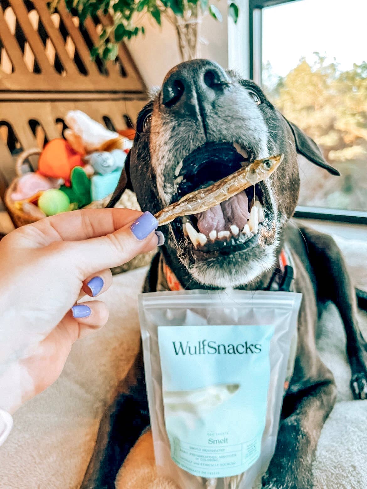 Wulf Snacks | Wild Caught Whole Smelt