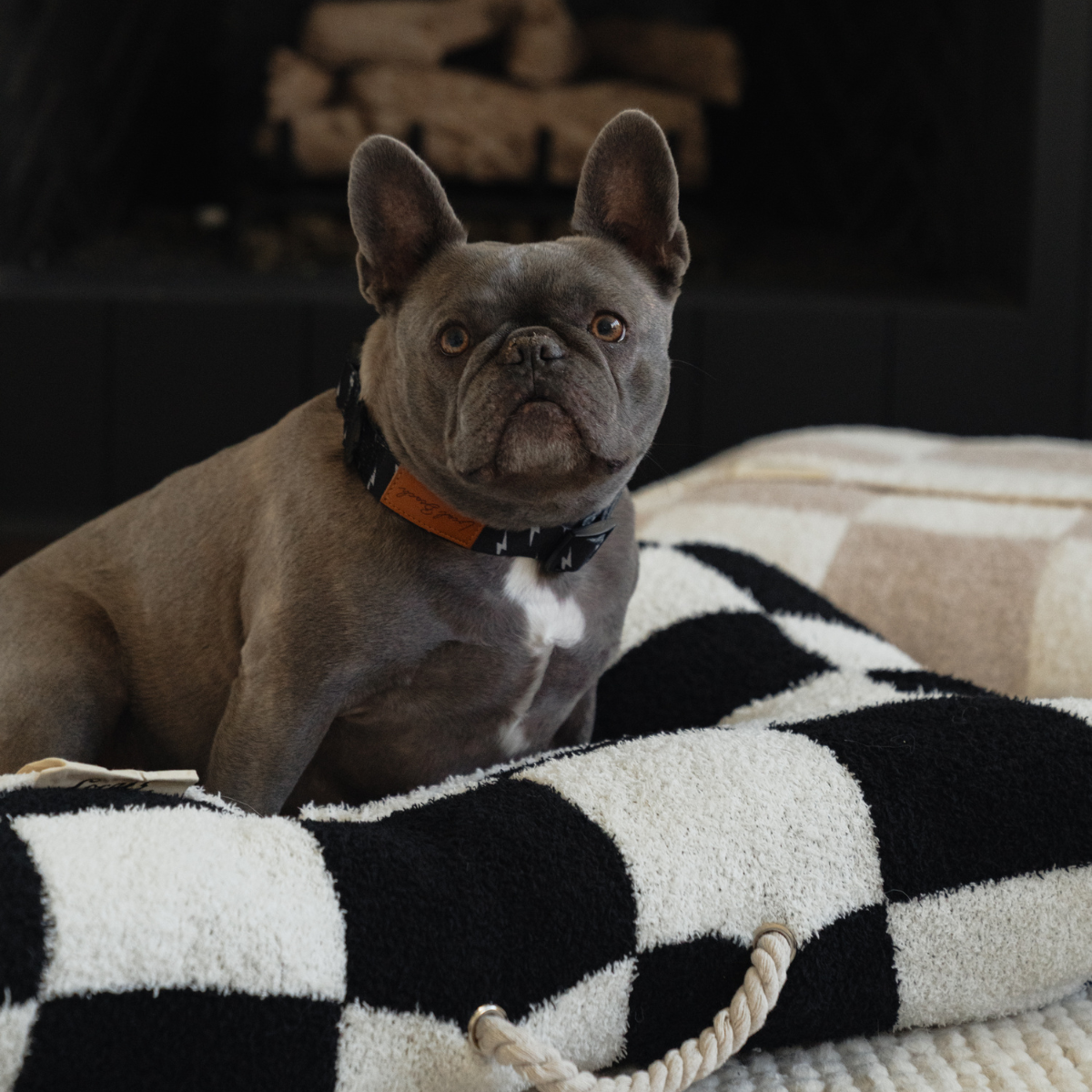 Local Beach - Local Beach Cozy Dog Bed: Sand /Cream