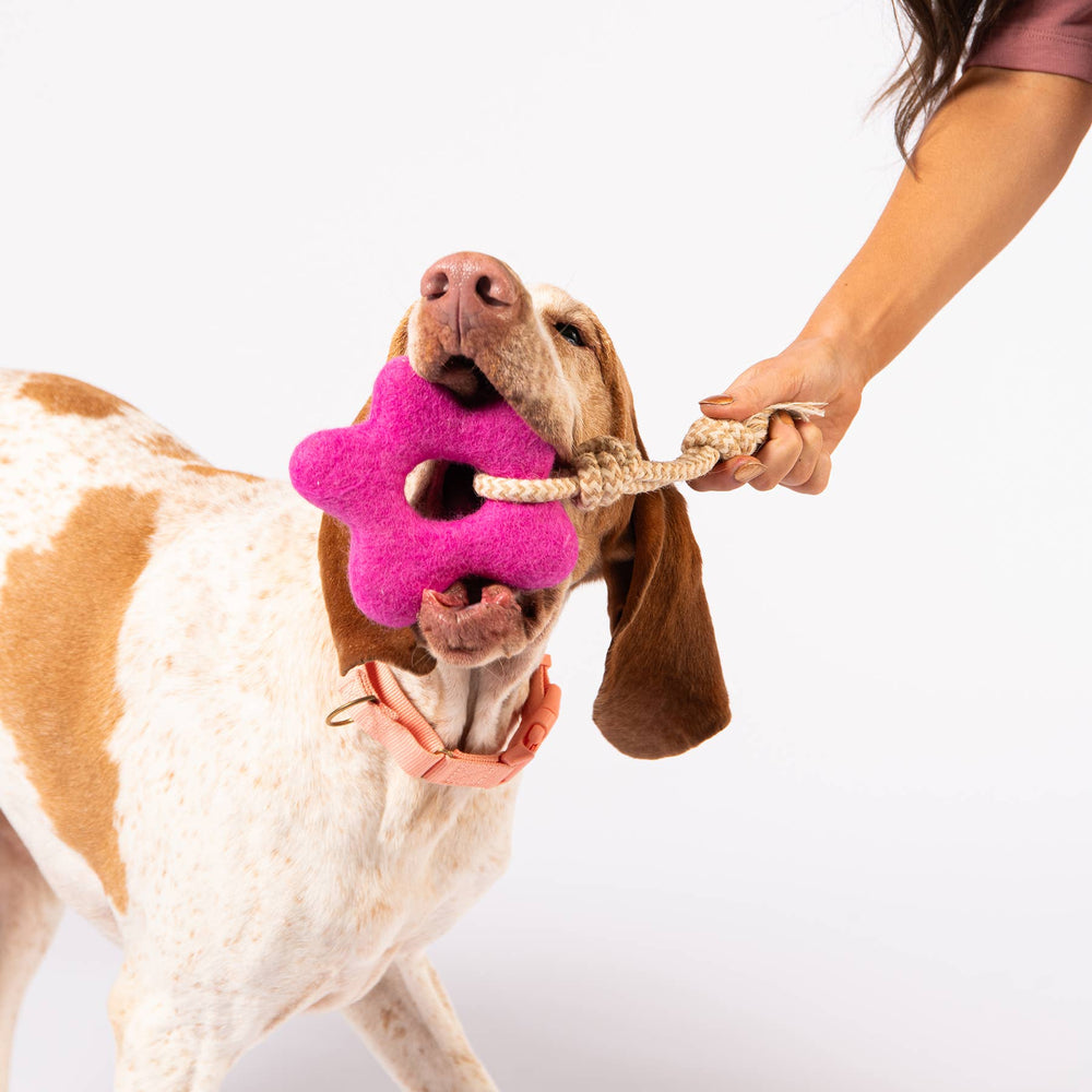 
                  
                    Awoo - Pullin' Posies Felt Toy
                  
                