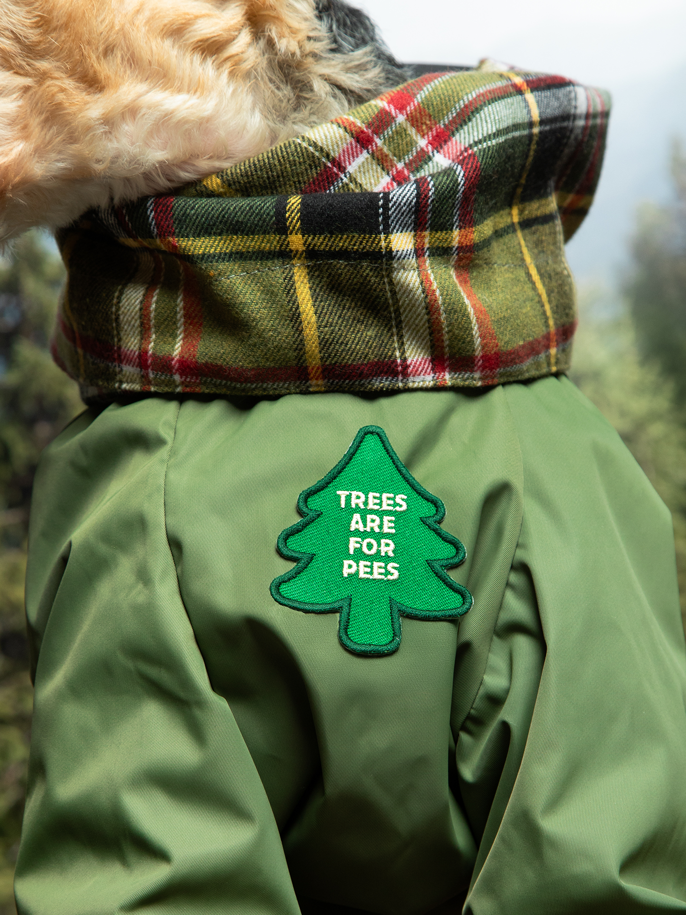 Scout's Honour Pty Ltd - Trees are for Pees iron-on patch for dogs and cats