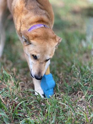 SodaPup - Petz Rubber Yak Chew Holder: Petz Rubber Yak Chew Holder