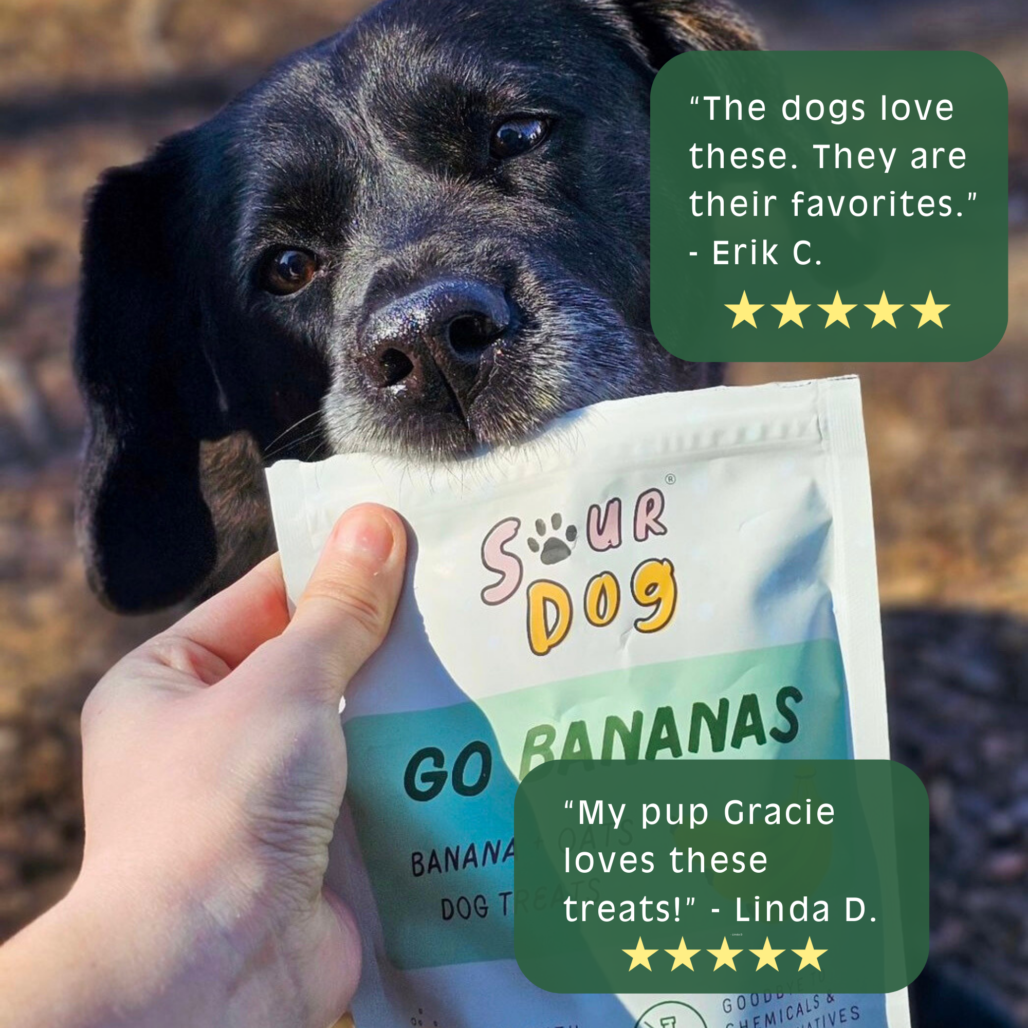 SourDog - Go Bananas - Banana Sourdough Dog Treats