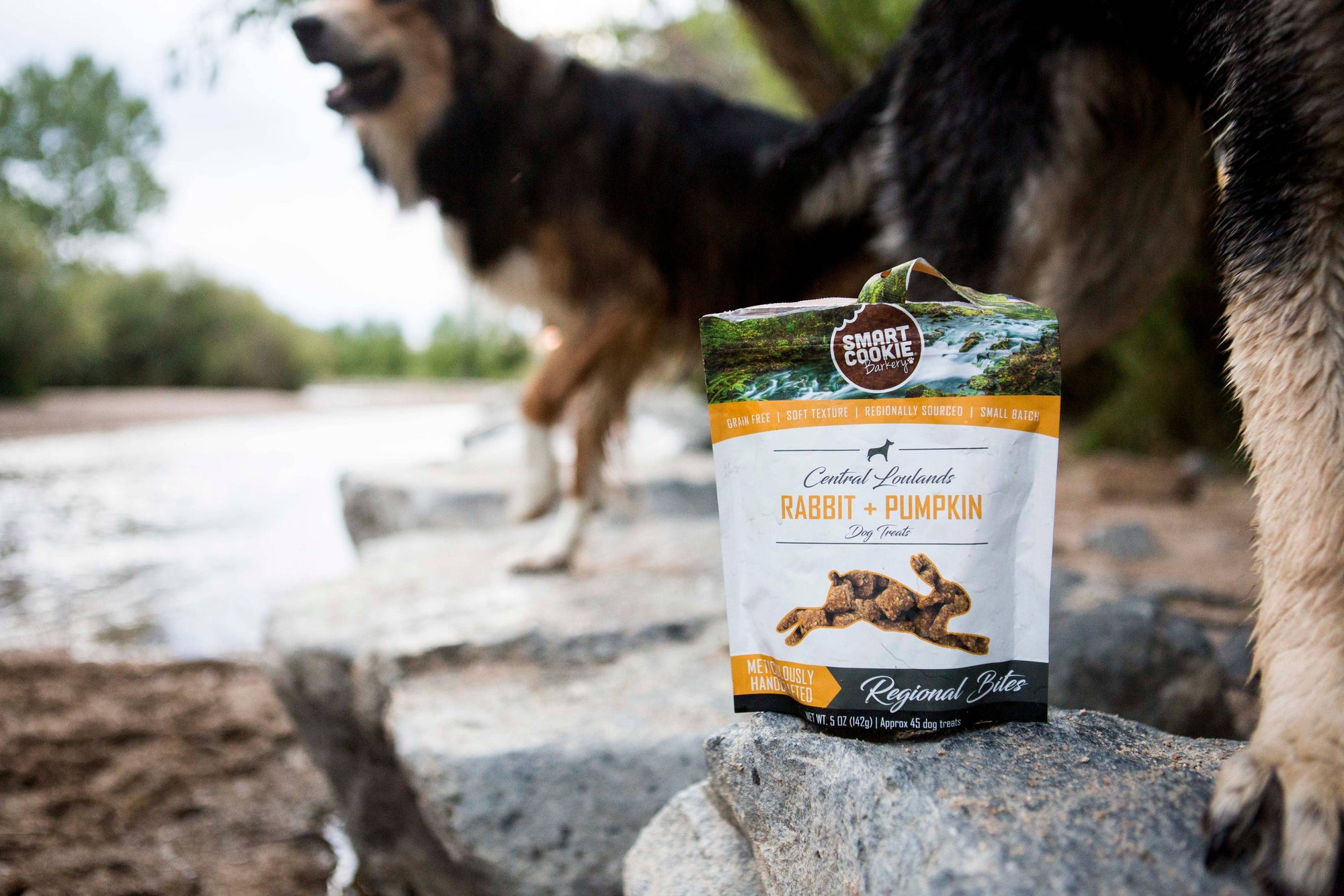 Smart Cookie Barkery - Rabbit and Pumpkin Dog Treat