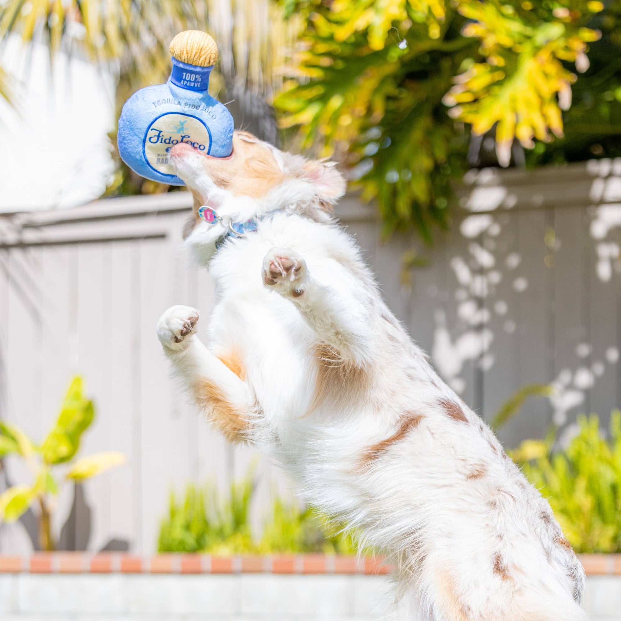 Huxley & Kent - Fido Loco Tequila Dog Toy (Small)