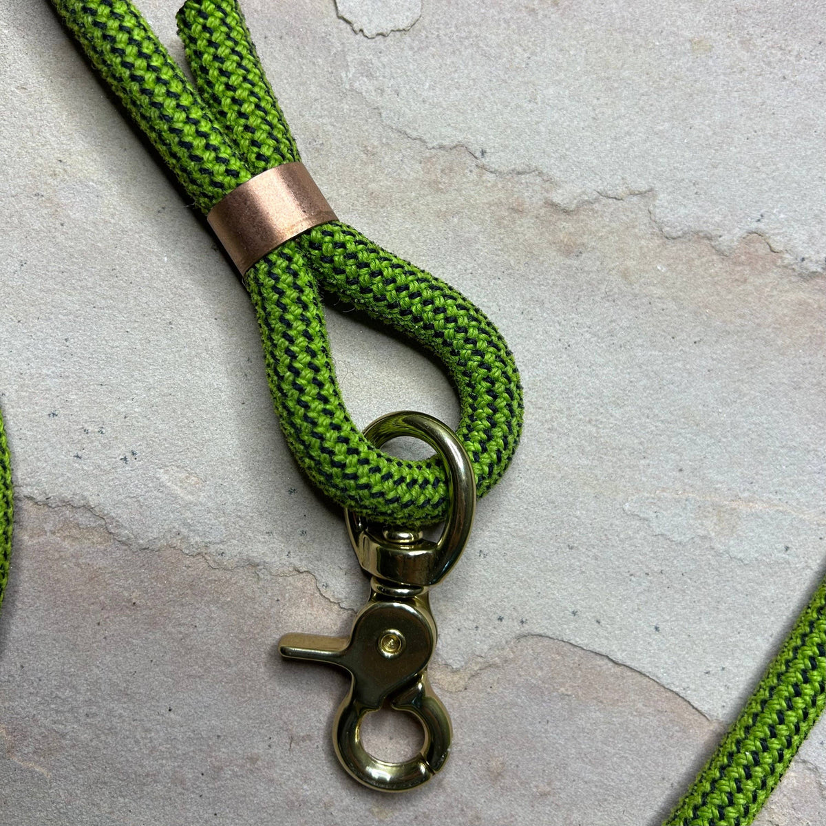 Joshua Tree Leash & Lead - Fighting The Slime