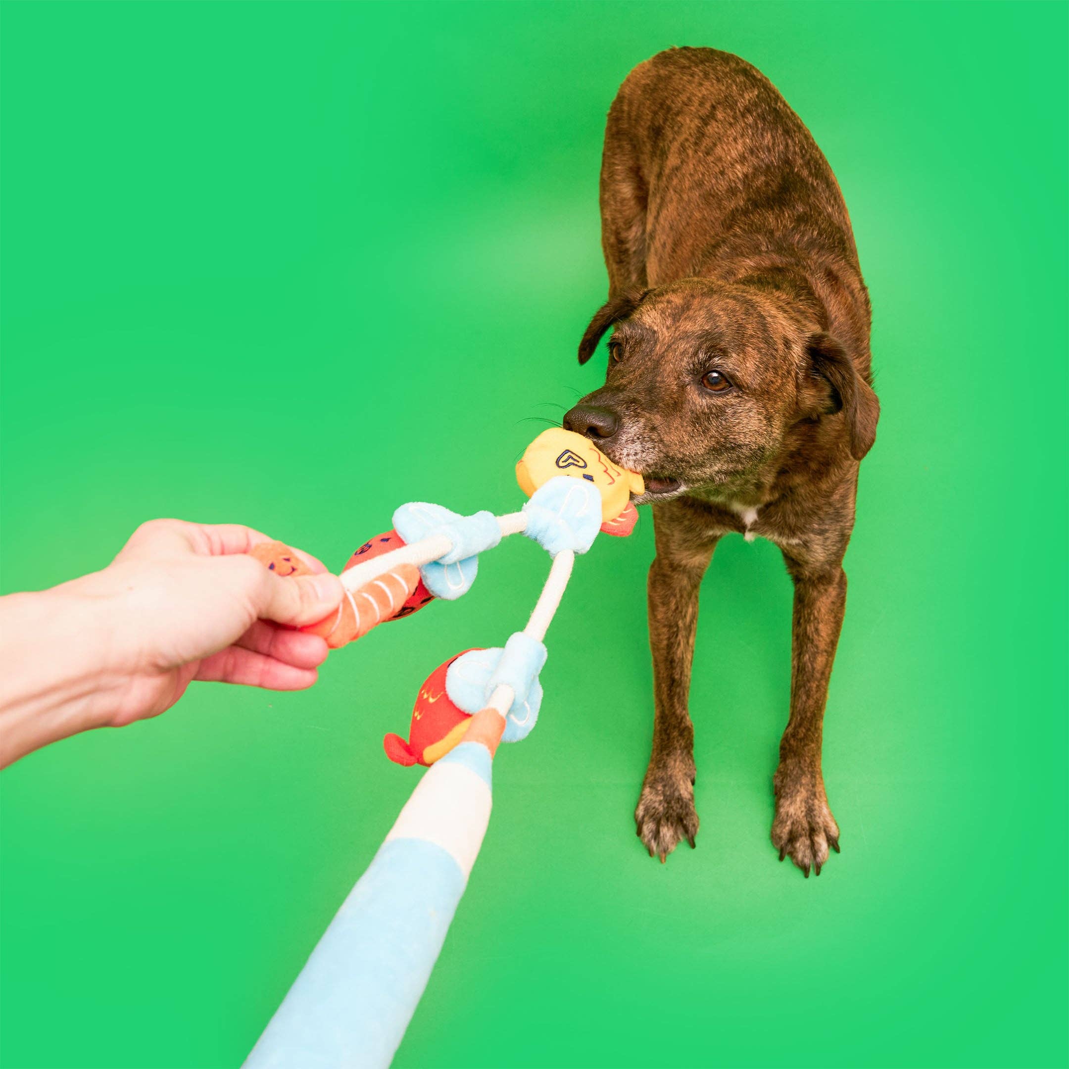 the furryfolks - Fishing Nosework & Tug Toy