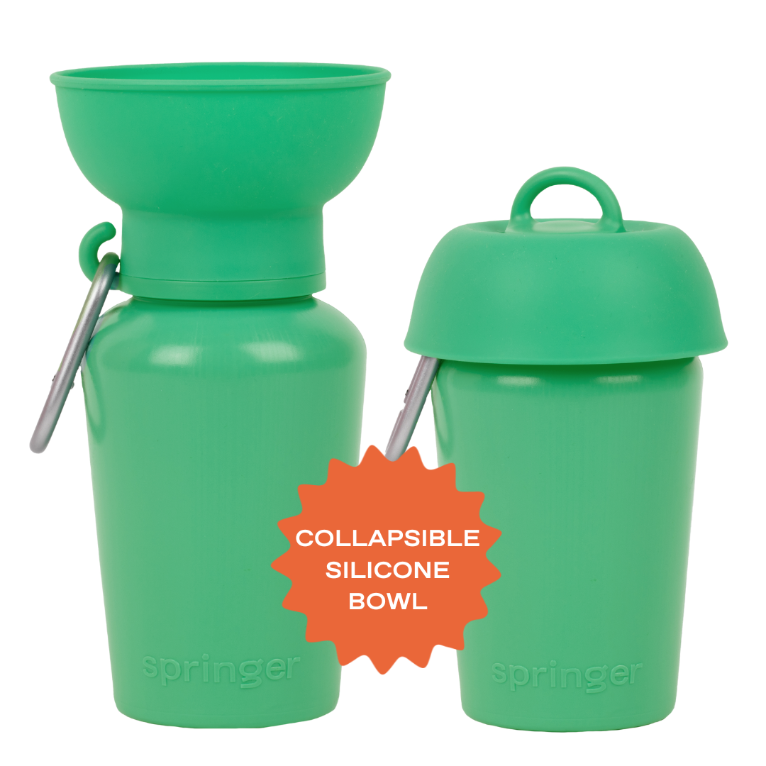 Springer Pets - Dog Travel Water Bottle, 20oz, Flip Silicone (12 Pack): Mixed (12 Pack)