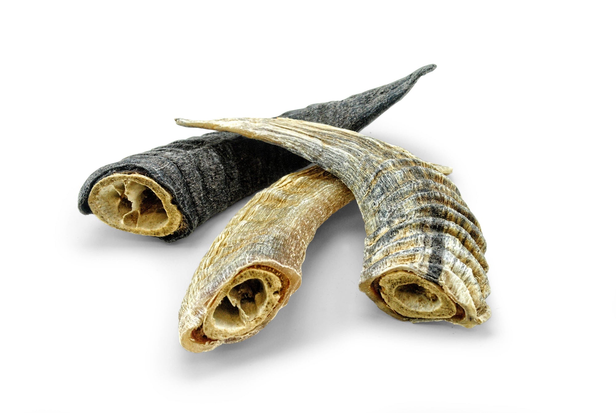 Icelandic+ - Icelandic+ Small Lamb Horn with Marrow Dog Treat: 1-ct (Single)